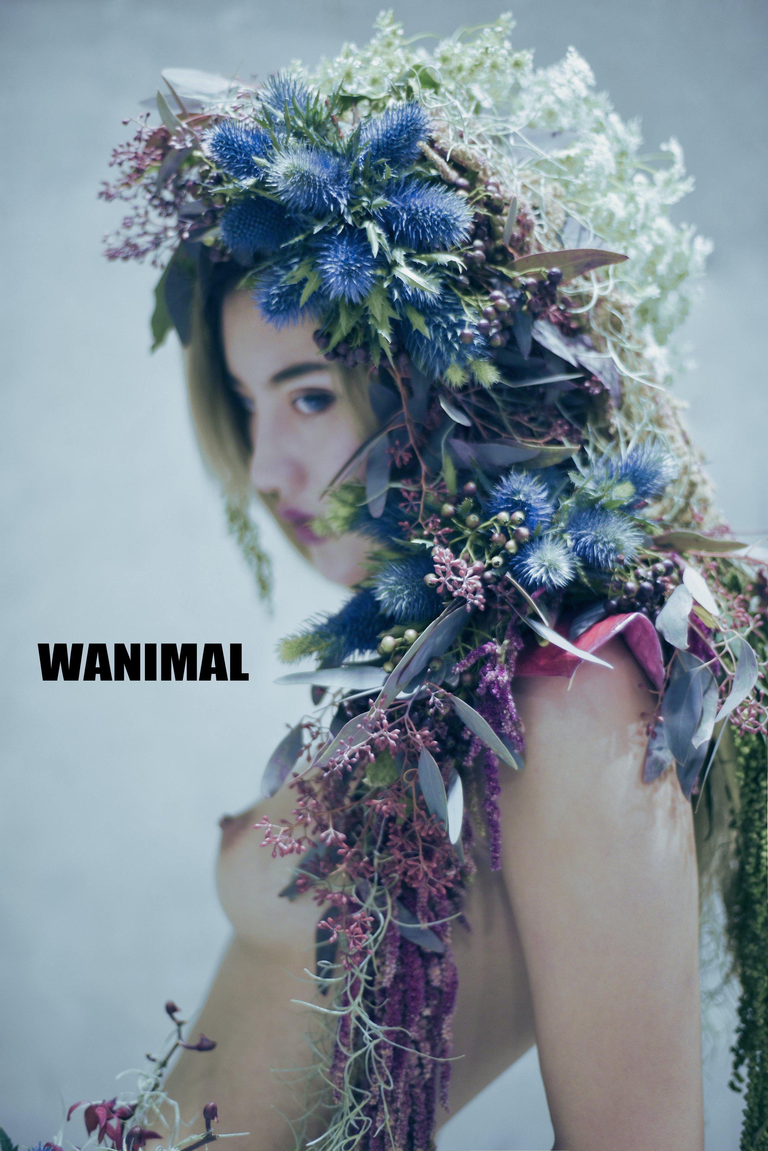 WANIMAL王动作品 114P