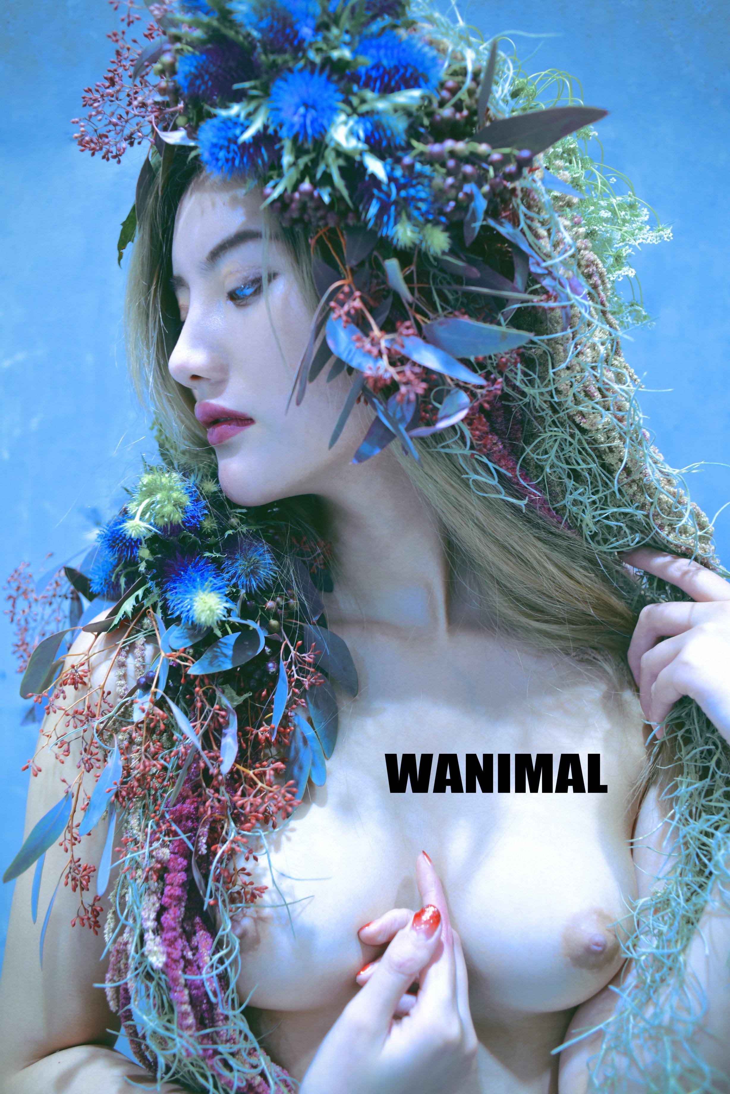 WANIMAL王动作品 114P