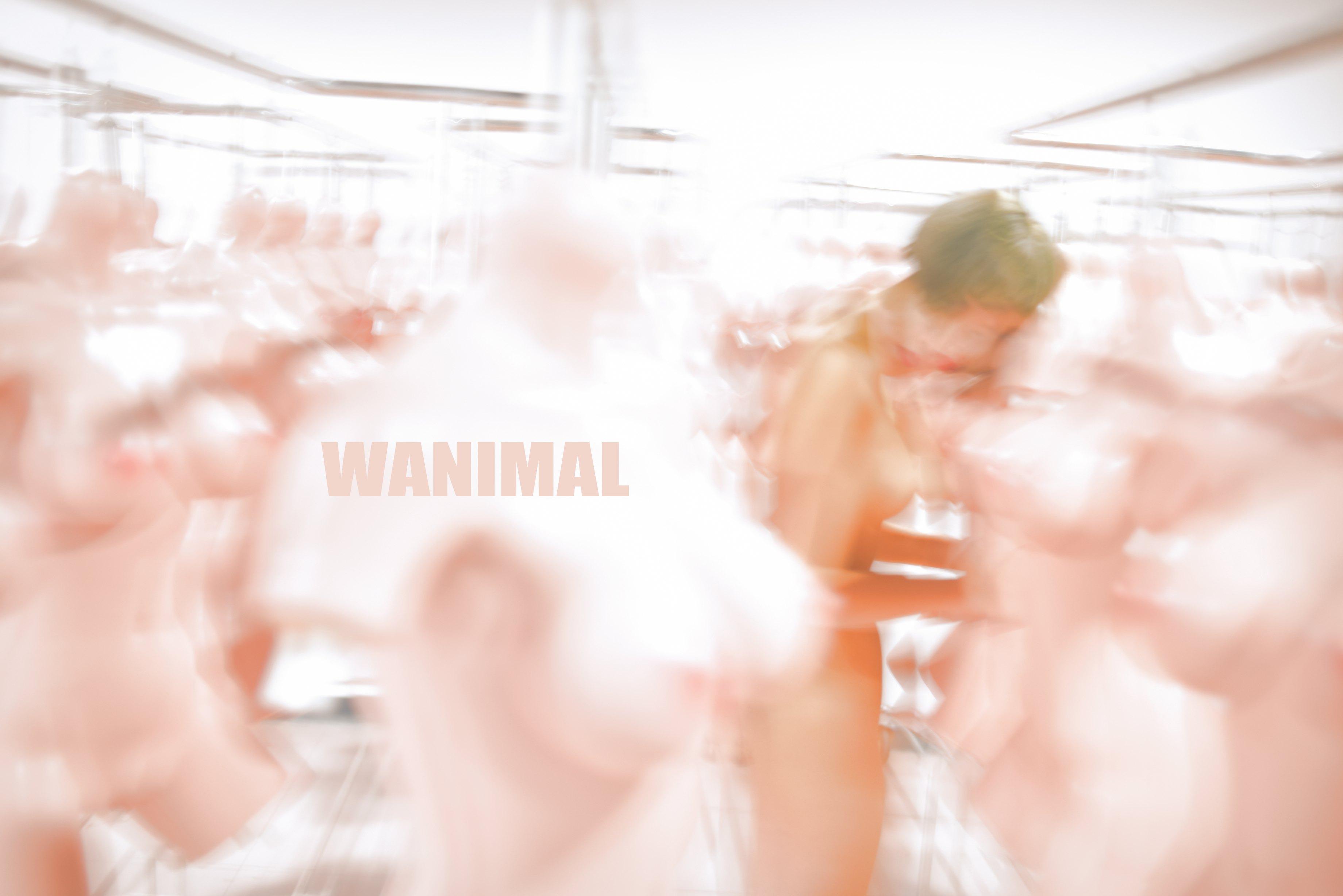 WANIMAL王动作品 114P