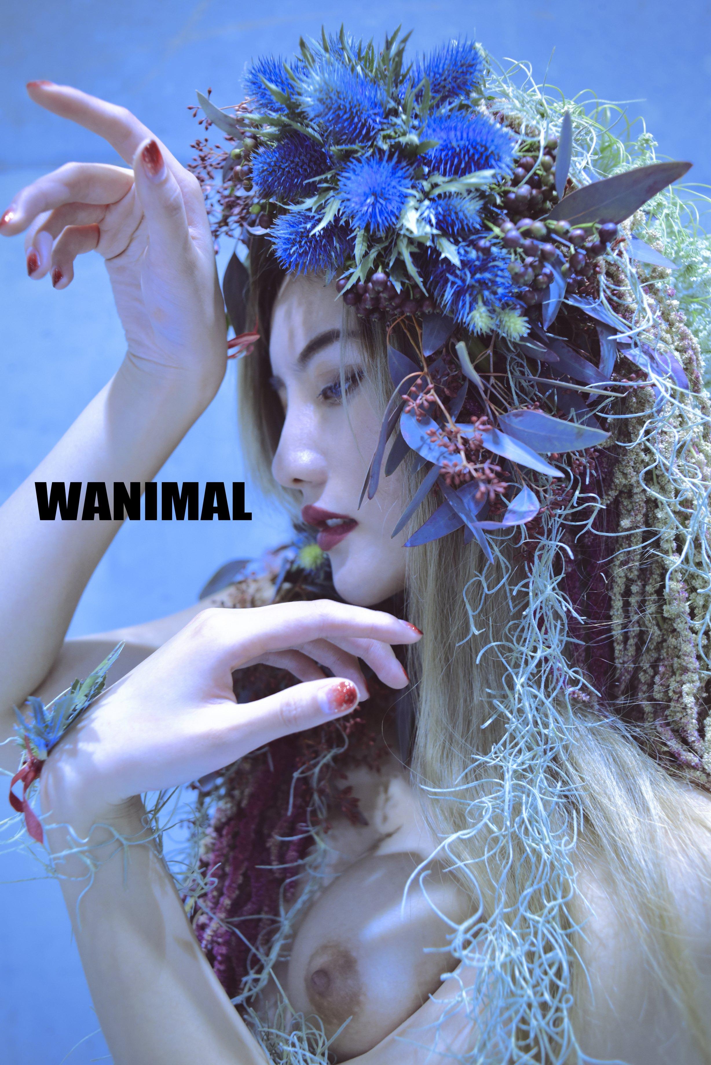 WANIMAL王动作品 114P