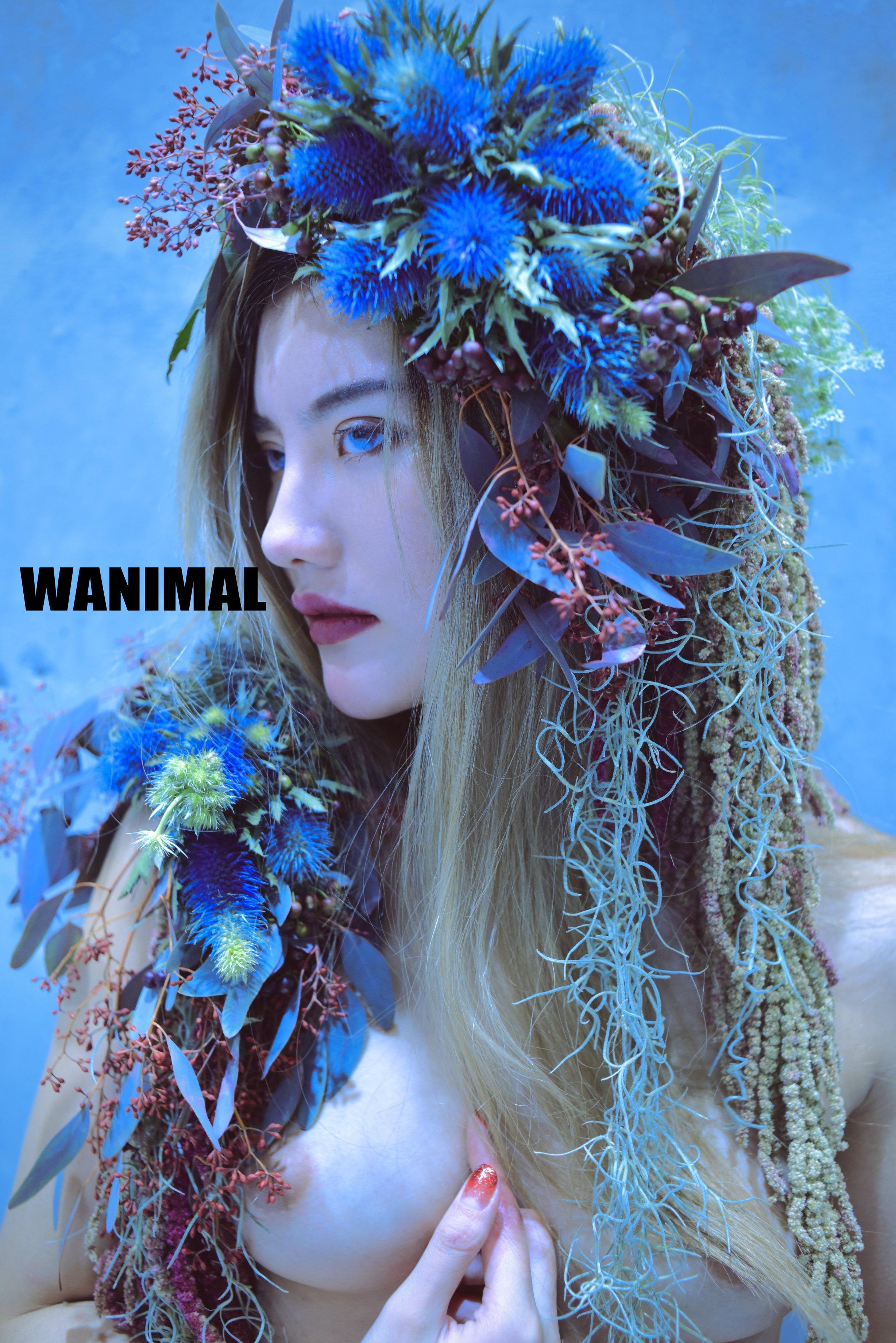 WANIMAL王动作品 114P