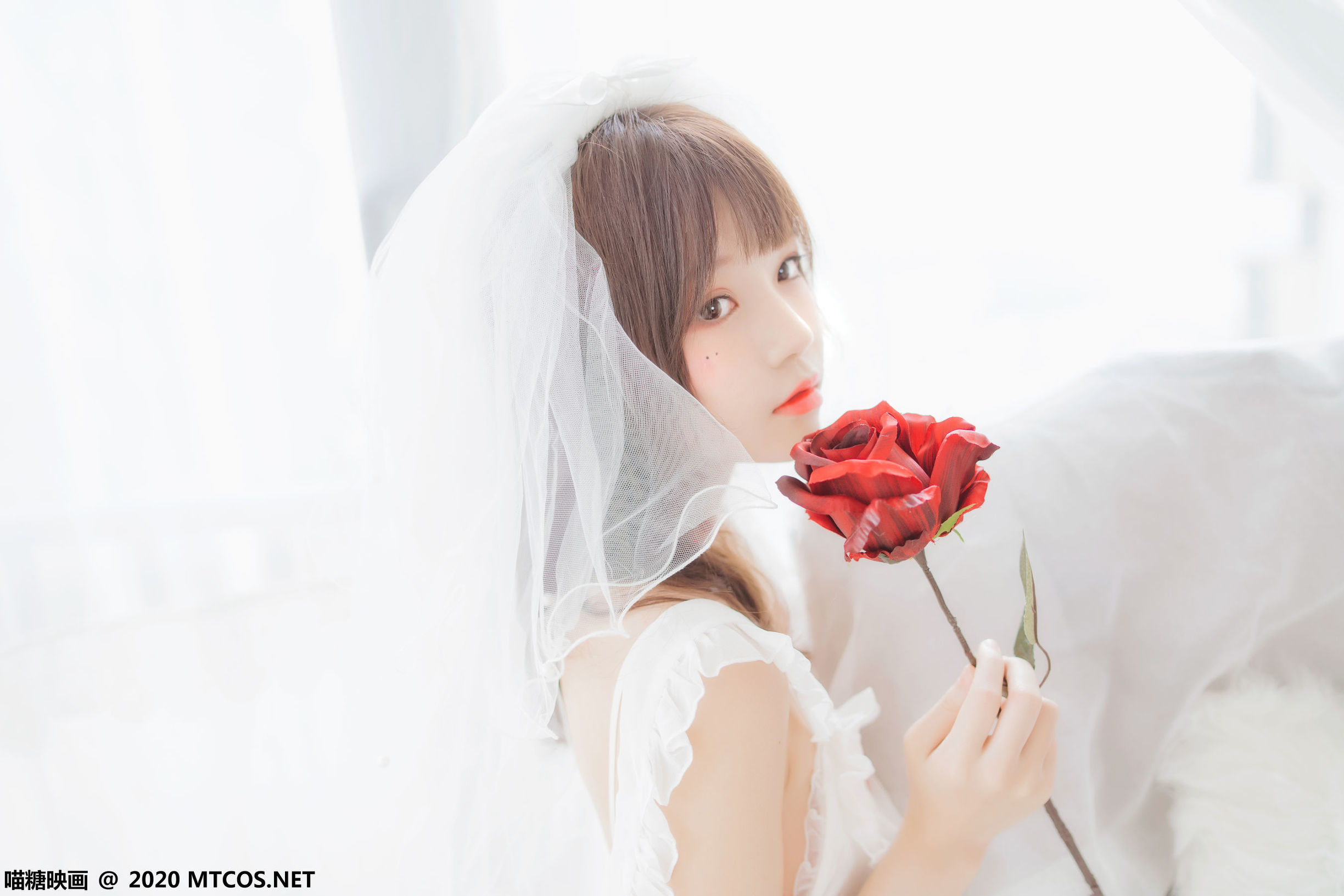 Meow Sugar Films] Vol. 186: Pure White Light Gauze