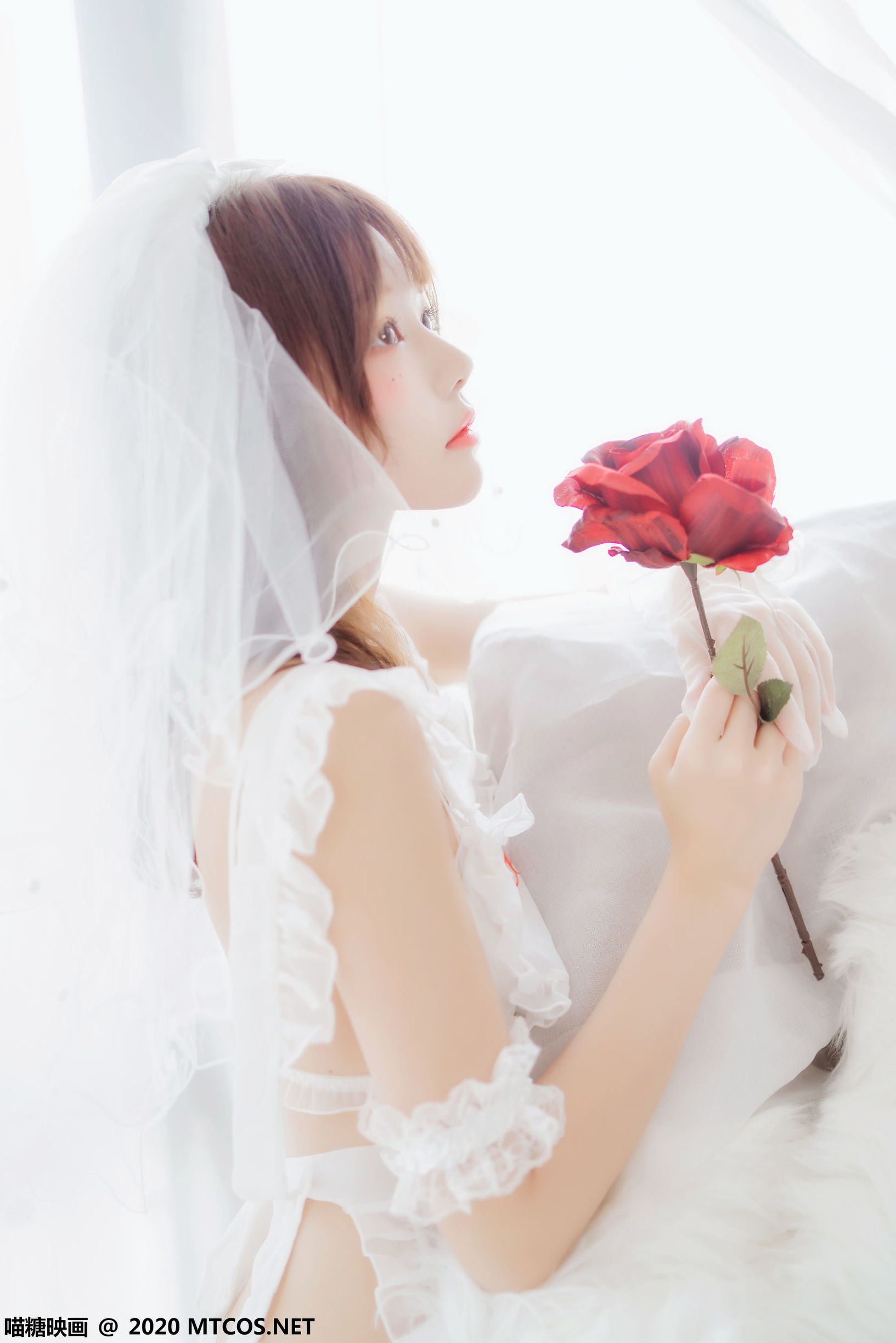 Meow Sugar Films] Vol. 186: Pure White Light Gauze