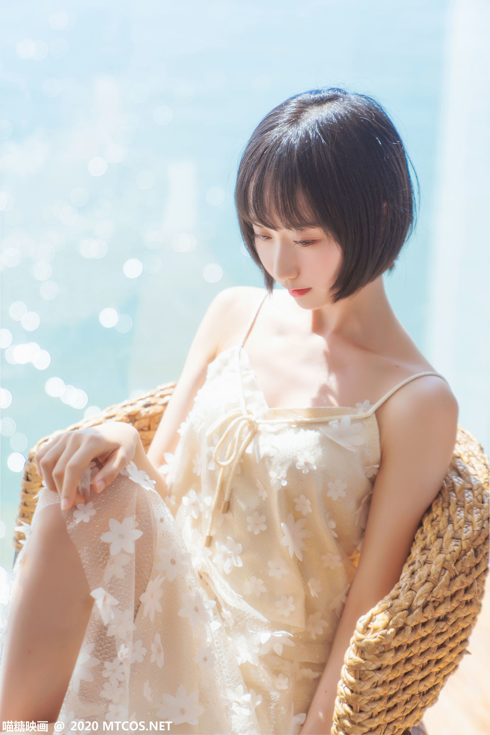 Meow Sugar Film] VOL.201 Warm Sun's Sea