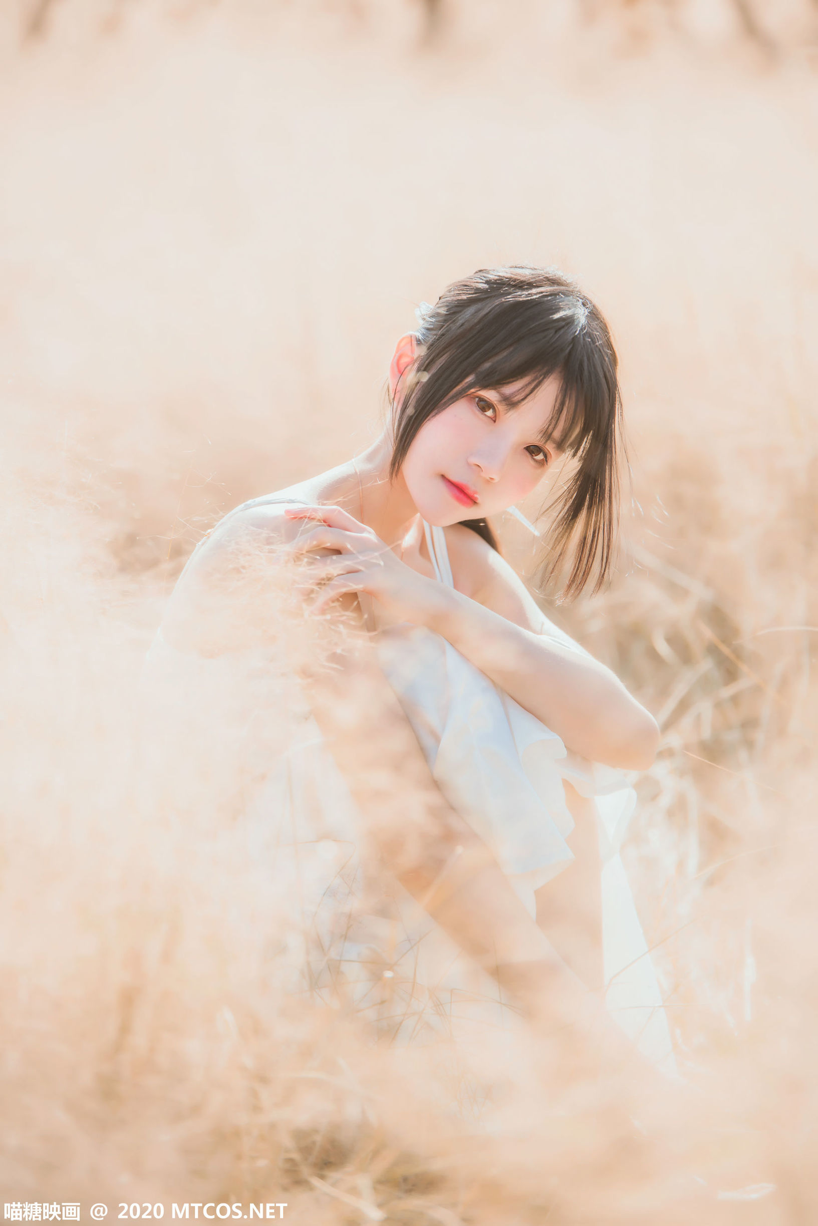 Miêu Đường Điện Ảnh] VOL.224 Nguyên dã cuối thu
