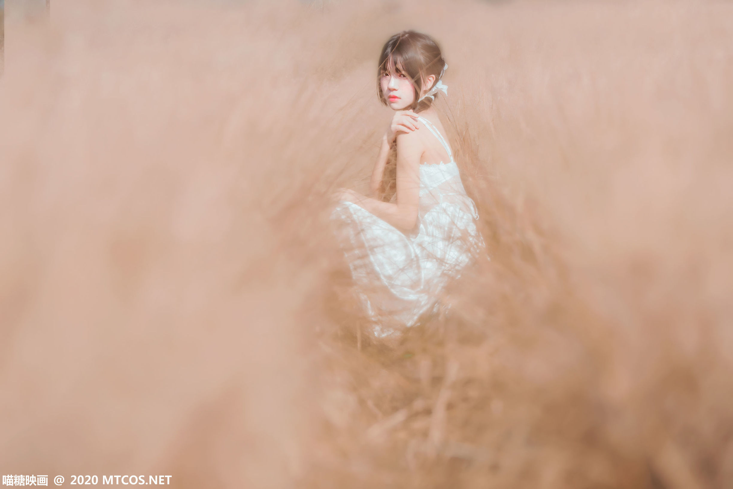 Miêu Đường Điện Ảnh] VOL.224 Nguyên dã cuối thu