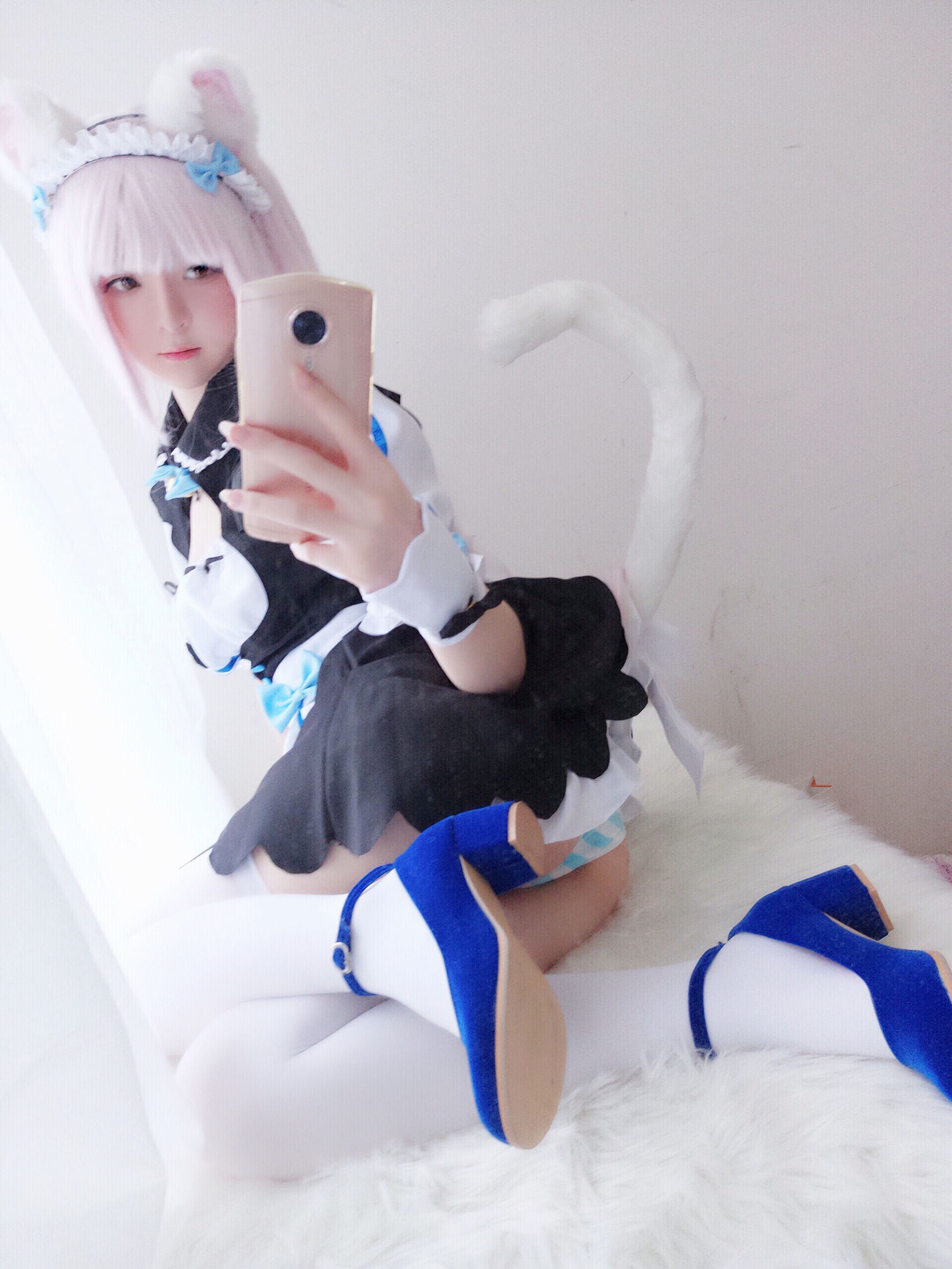  belle  COS] Y Tiểu Dương Trạch - Mèo Nữ Hương Tử Lan