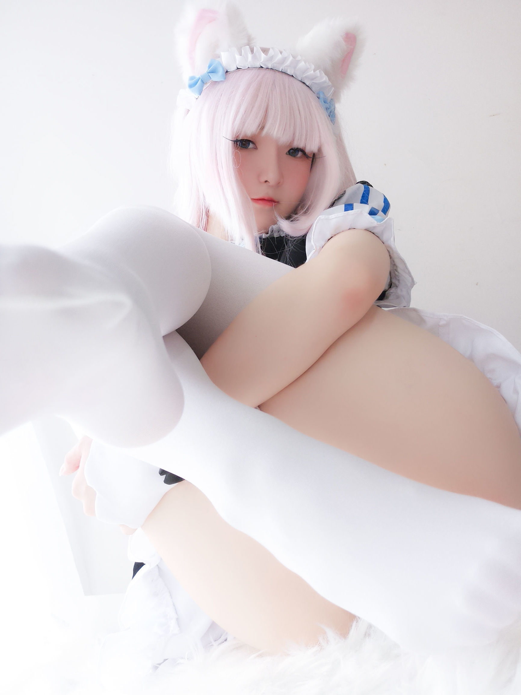  belle  COS] Y Tiểu Dương Trạch - Mèo Nữ Hương Tử Lan