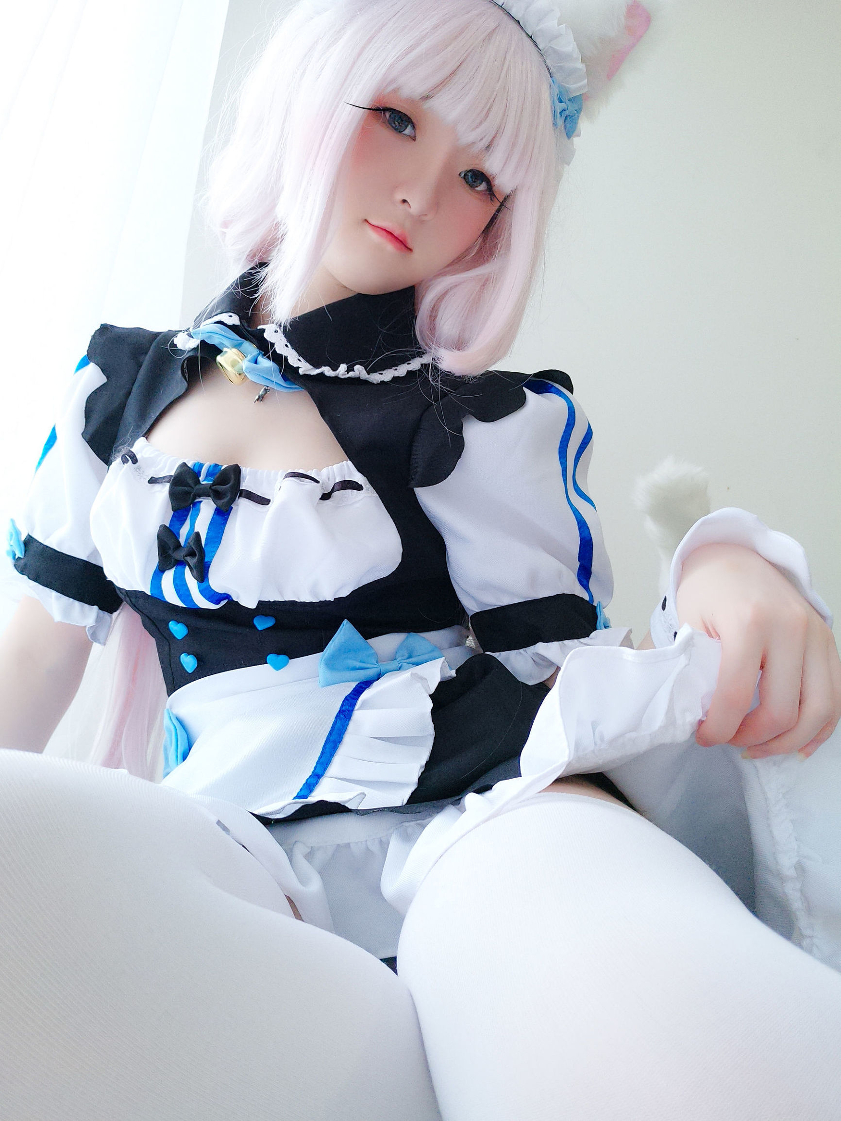  belle  COS] Y Tiểu Dương Trạch - Mèo Nữ Hương Tử Lan