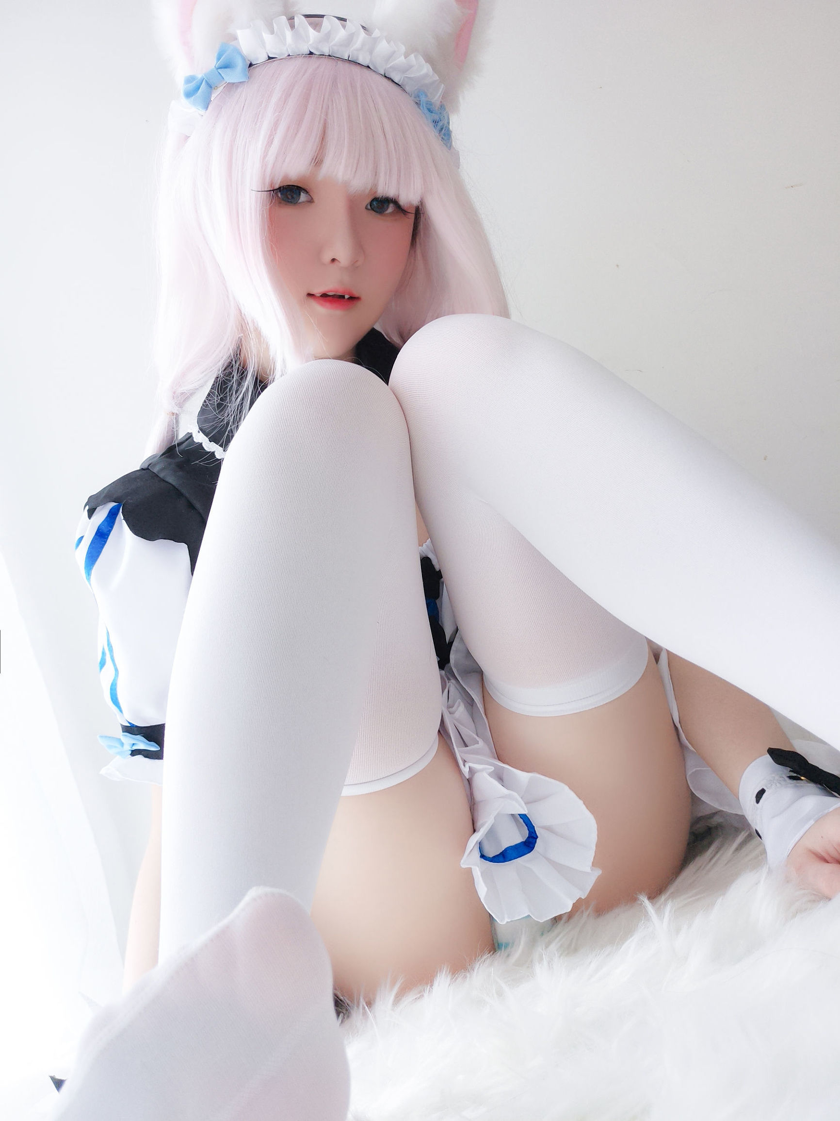  belle  COS] Y Tiểu Dương Trạch - Mèo Nữ Hương Tử Lan