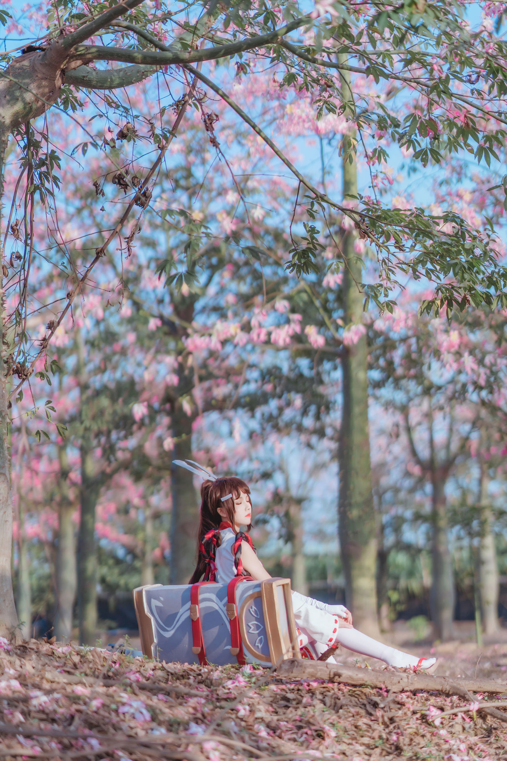 Cosplay  belle ta] Sakura Tao Meo - Gia La Cosplay