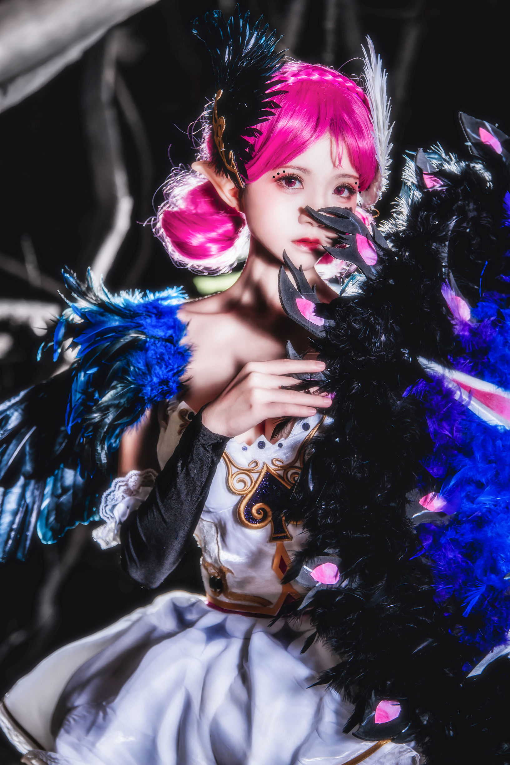  belle  COS] Sakura Tao Meo "Giấc Mơ Thiên Nga