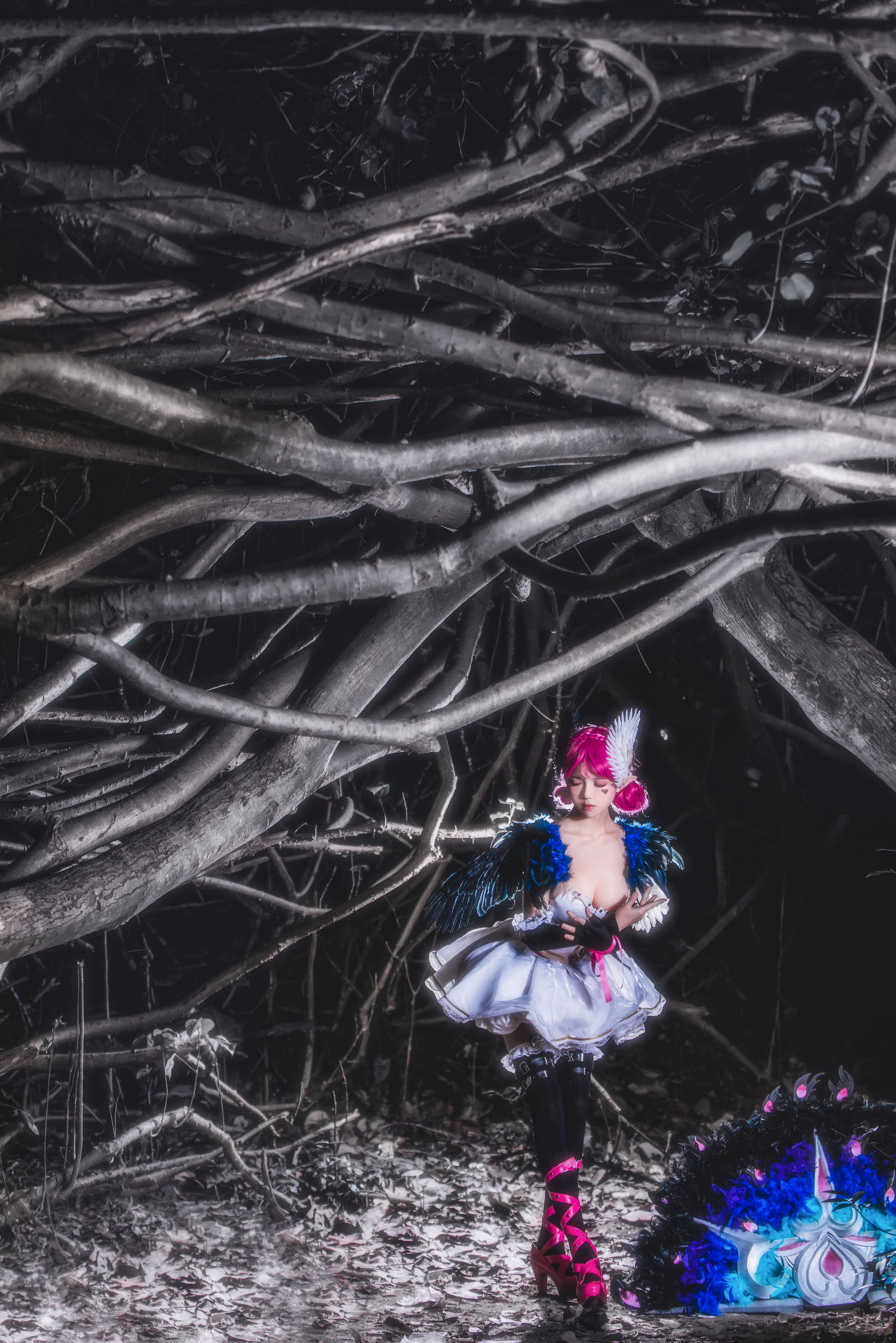  belle  COS] Sakura Tao Meo "Giấc Mơ Thiên Nga