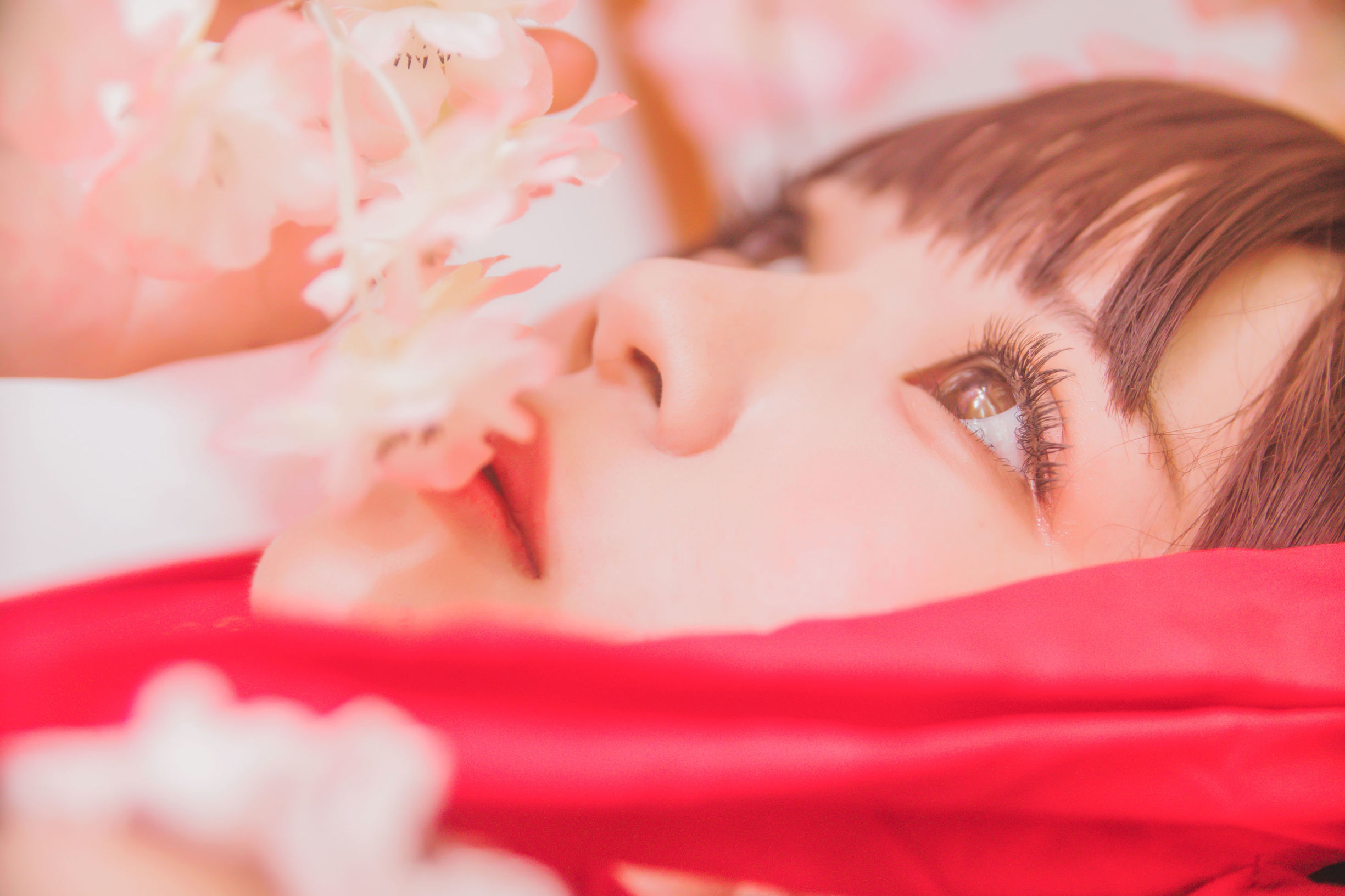 ロリCOS] 桜桃にゃ《霊夢 新年おめでとう》