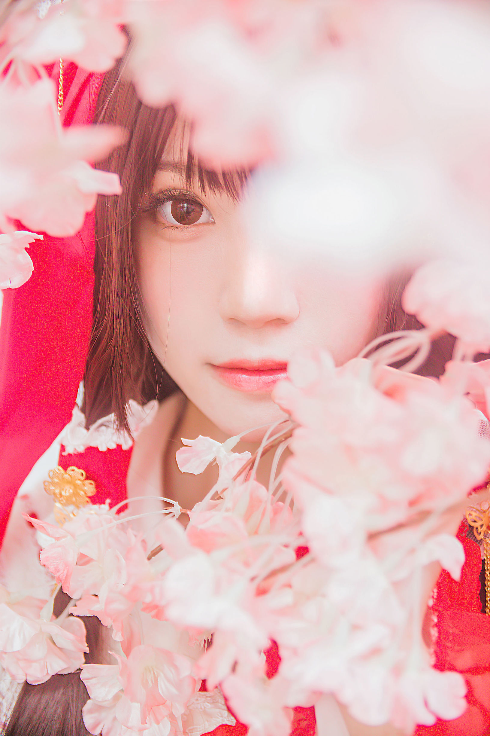 ロリCOS] 桜桃にゃ《霊夢 新年おめでとう》