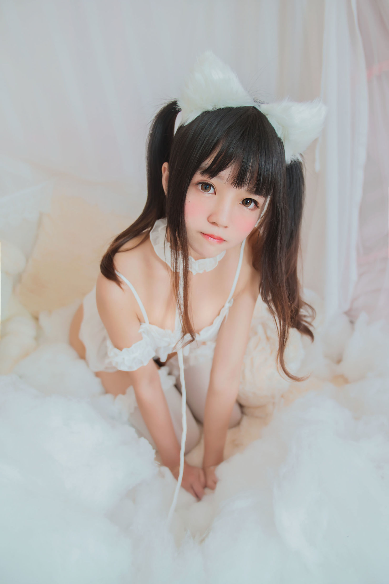 ロリCOS] 桜桃喵《白猫》