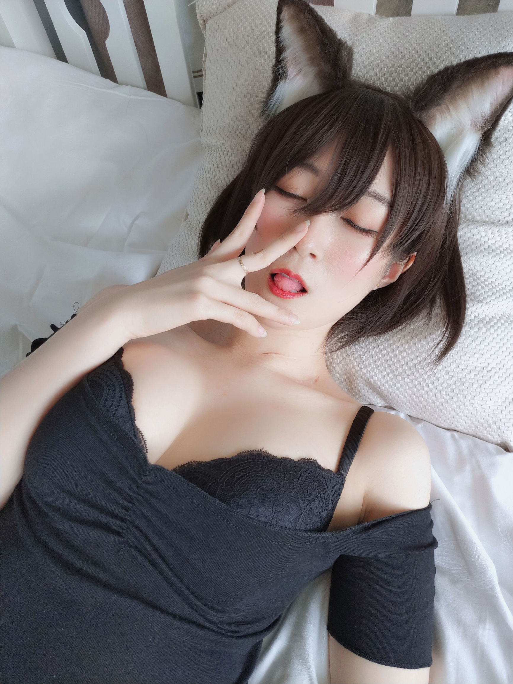 ロリコス] シロガネ - ラグドール