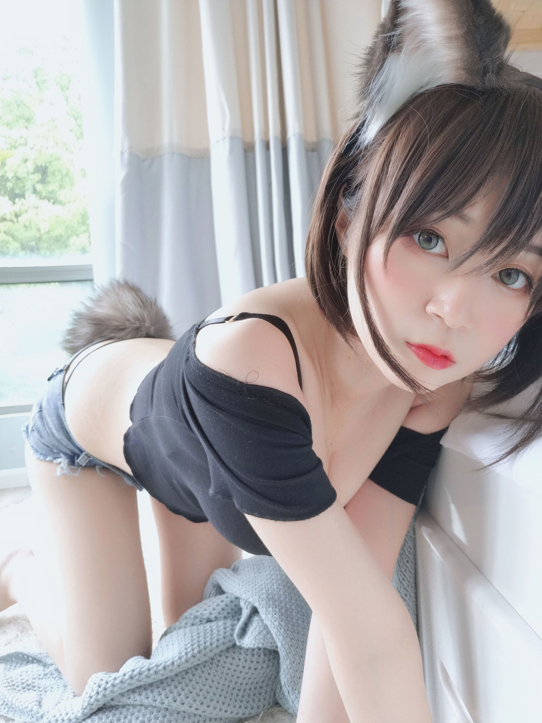 롤리타 코스프레] 시로가네 - 래그돌 고양이