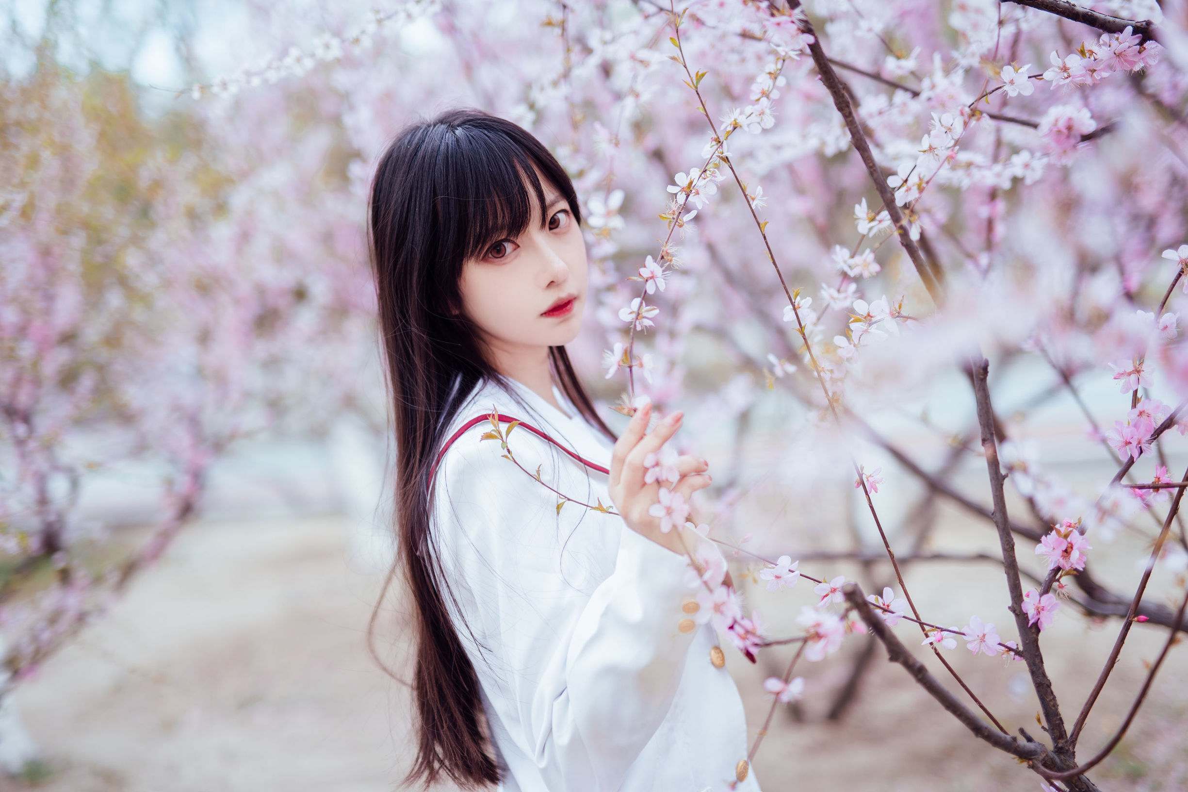 蘿莉COS] 希卡小鹿鹿 - 櫻花