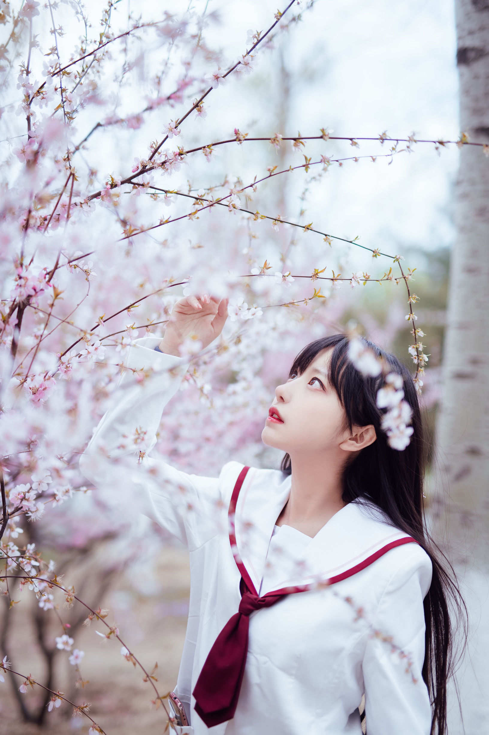 蘿莉COS] 希卡小鹿鹿 - 櫻花