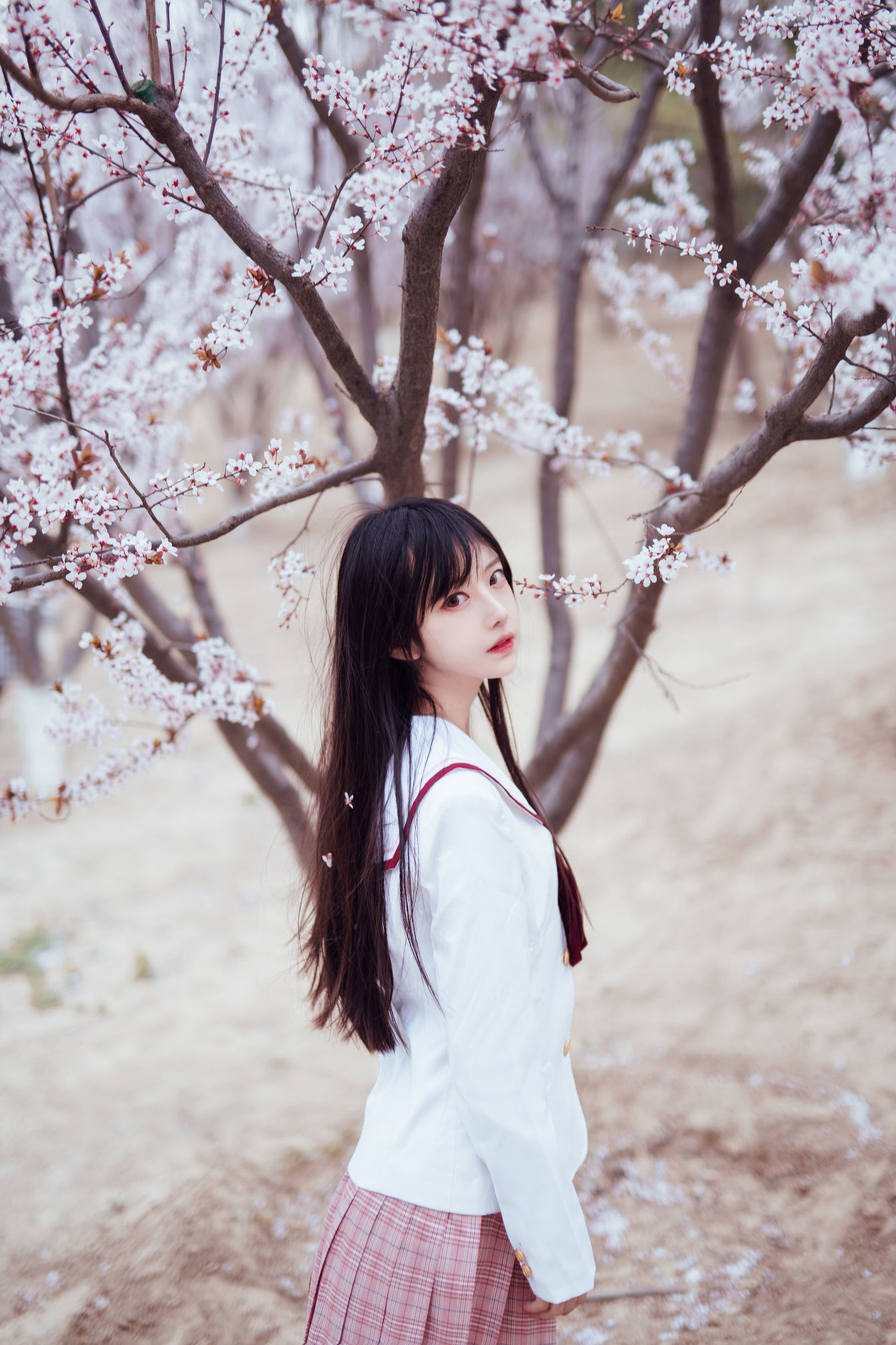  belle ta Cosplay] Shika Little Deer - Cherry Blossom