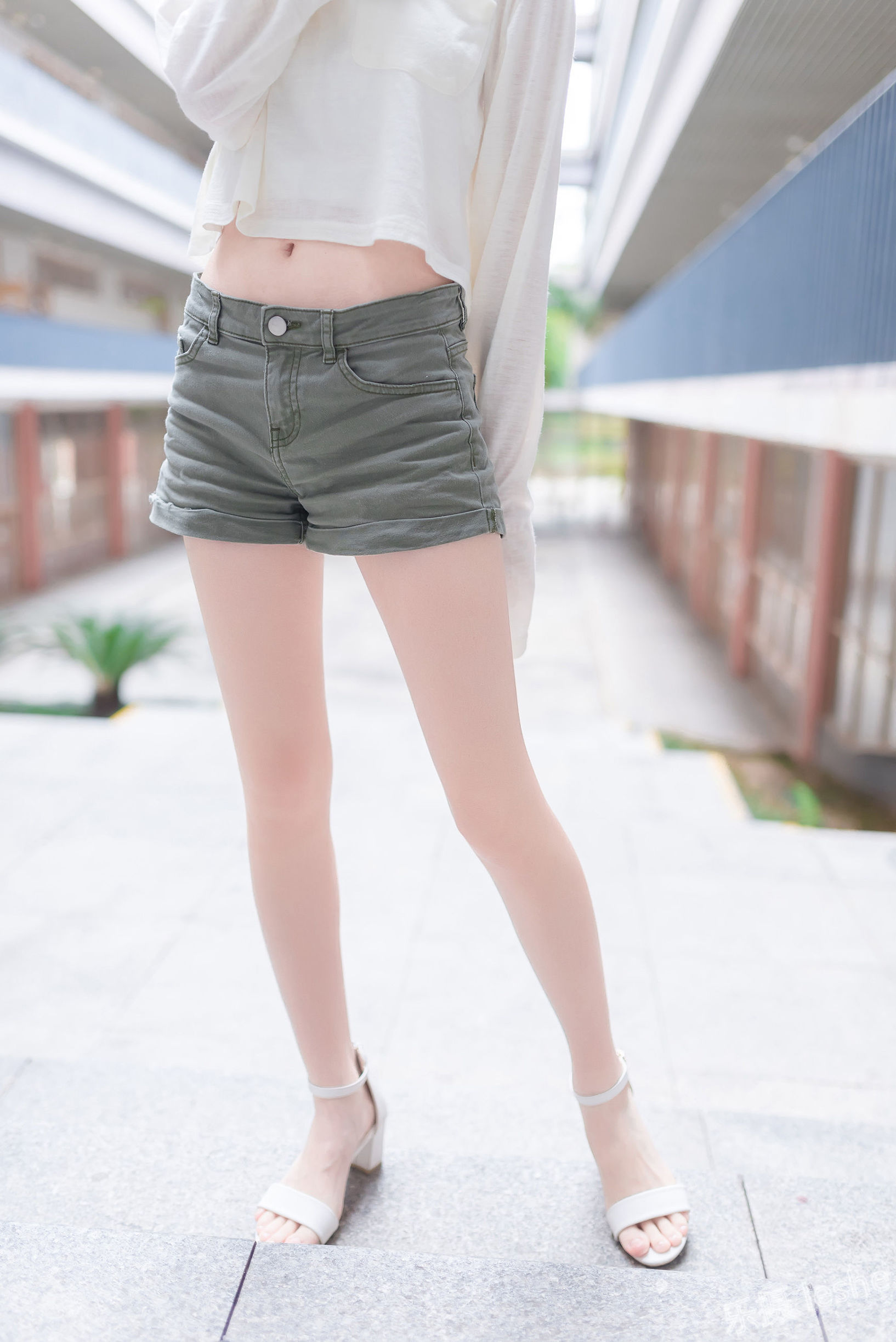 Domain of the Wind No. 062 Premium Long Legs