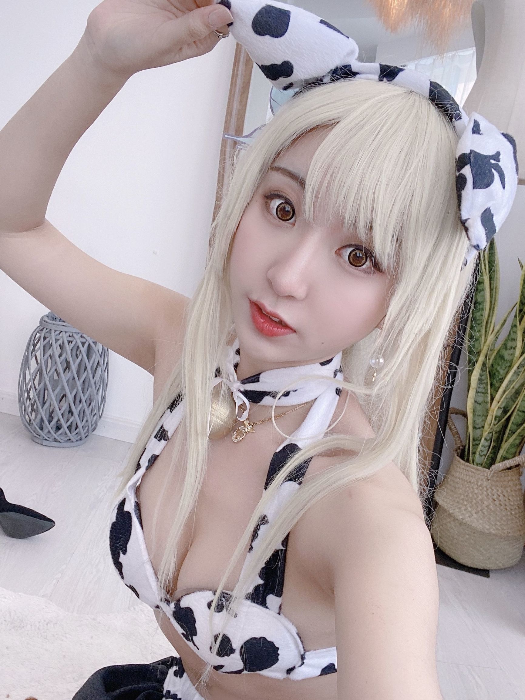 COS Phúc lợi] Coser Phổ biến Kurokawa - Seina Bò sữa