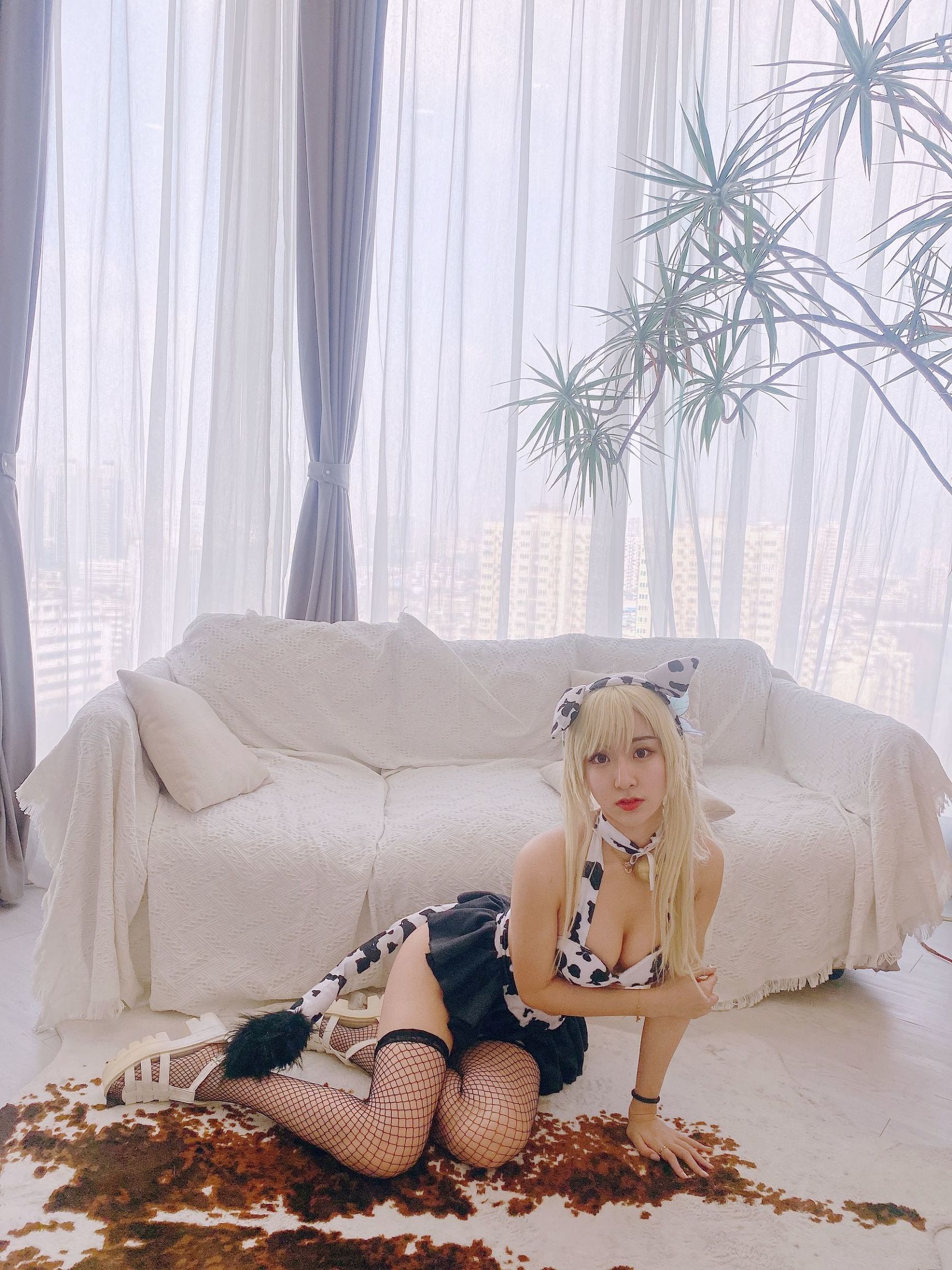 COS Phúc lợi] Coser Phổ biến Kurokawa - Seina Bò sữa