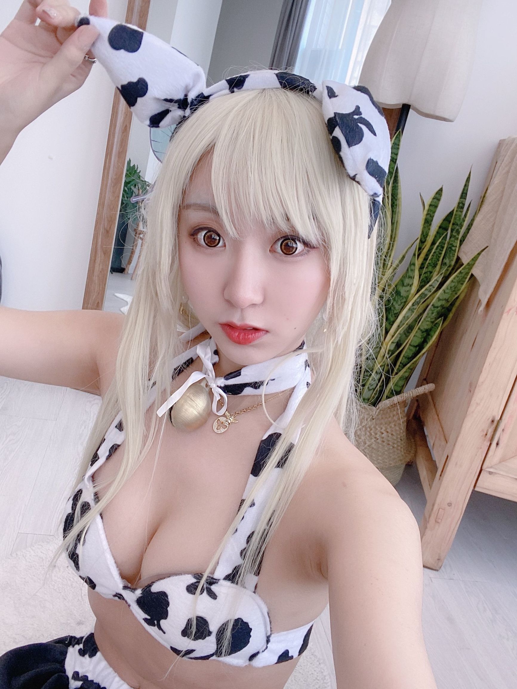 COS Phúc lợi] Coser Phổ biến Kurokawa - Seina Bò sữa