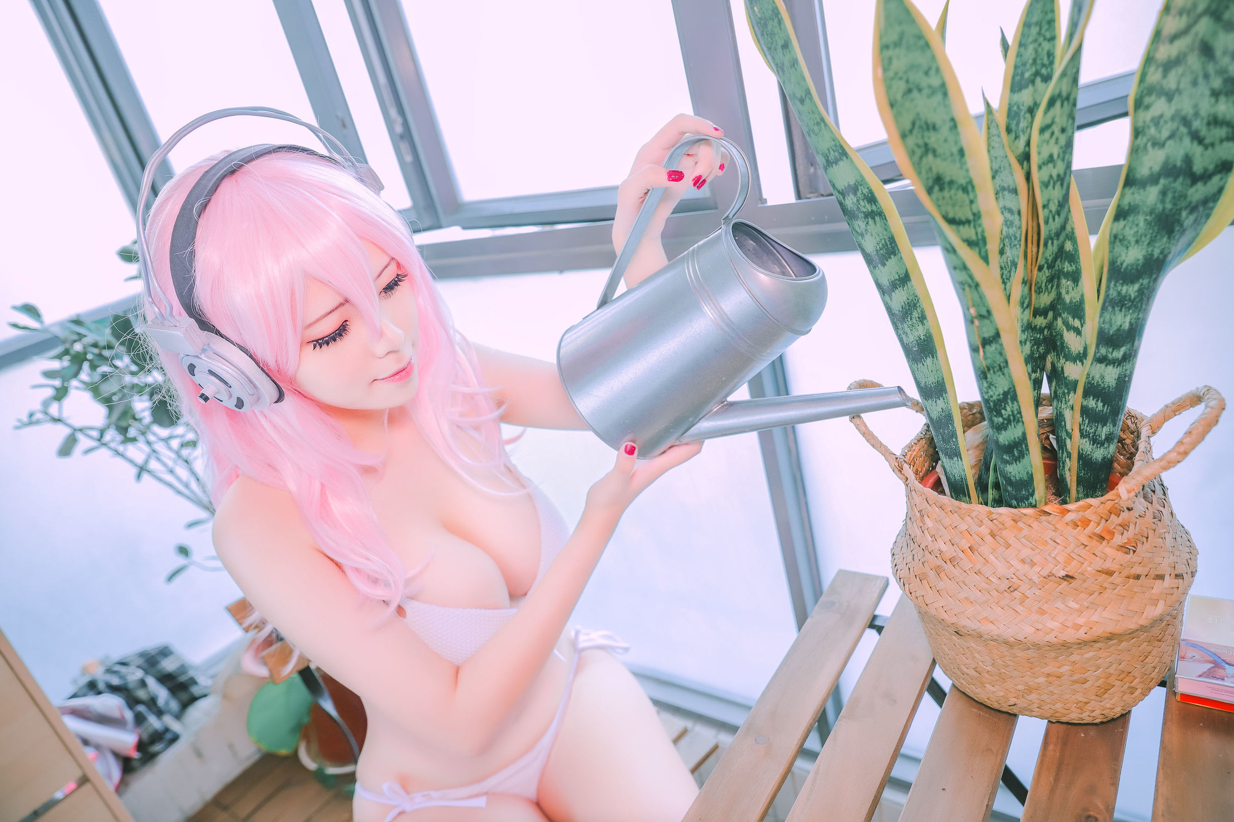 COS Welfare] Tata  belle ta Collection - Soniko