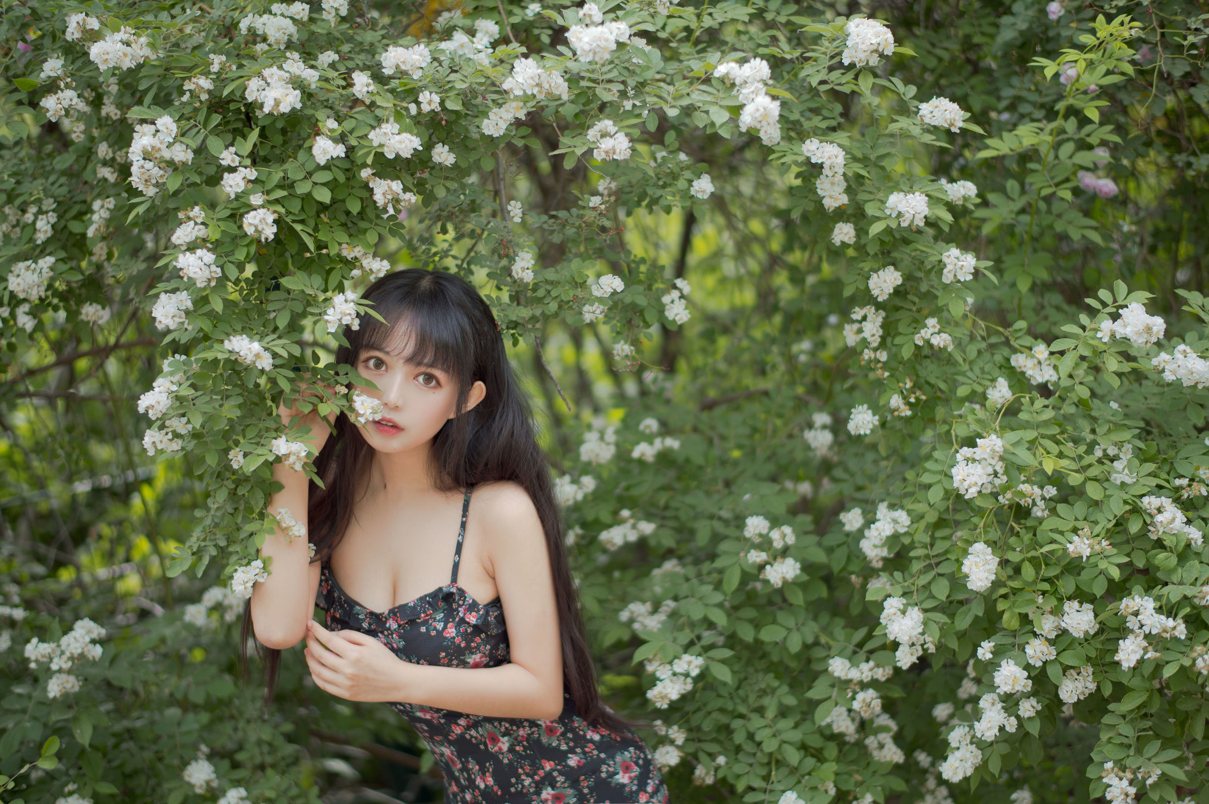 COS福利] 大眼萌妹黑貓貓OvO - 薔薇1