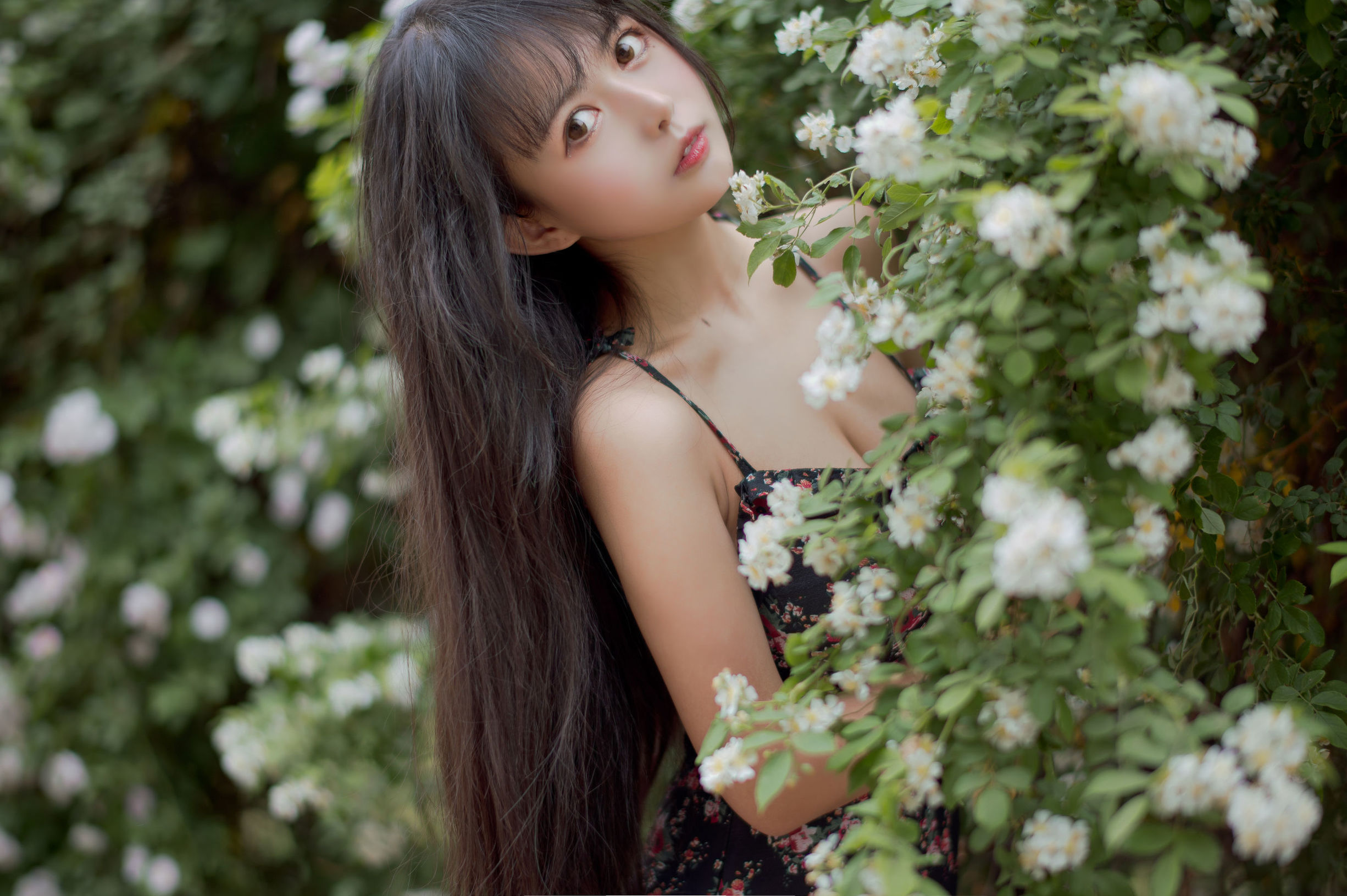 COS福利] 大眼萌妹黑貓貓OvO - 薔薇1
