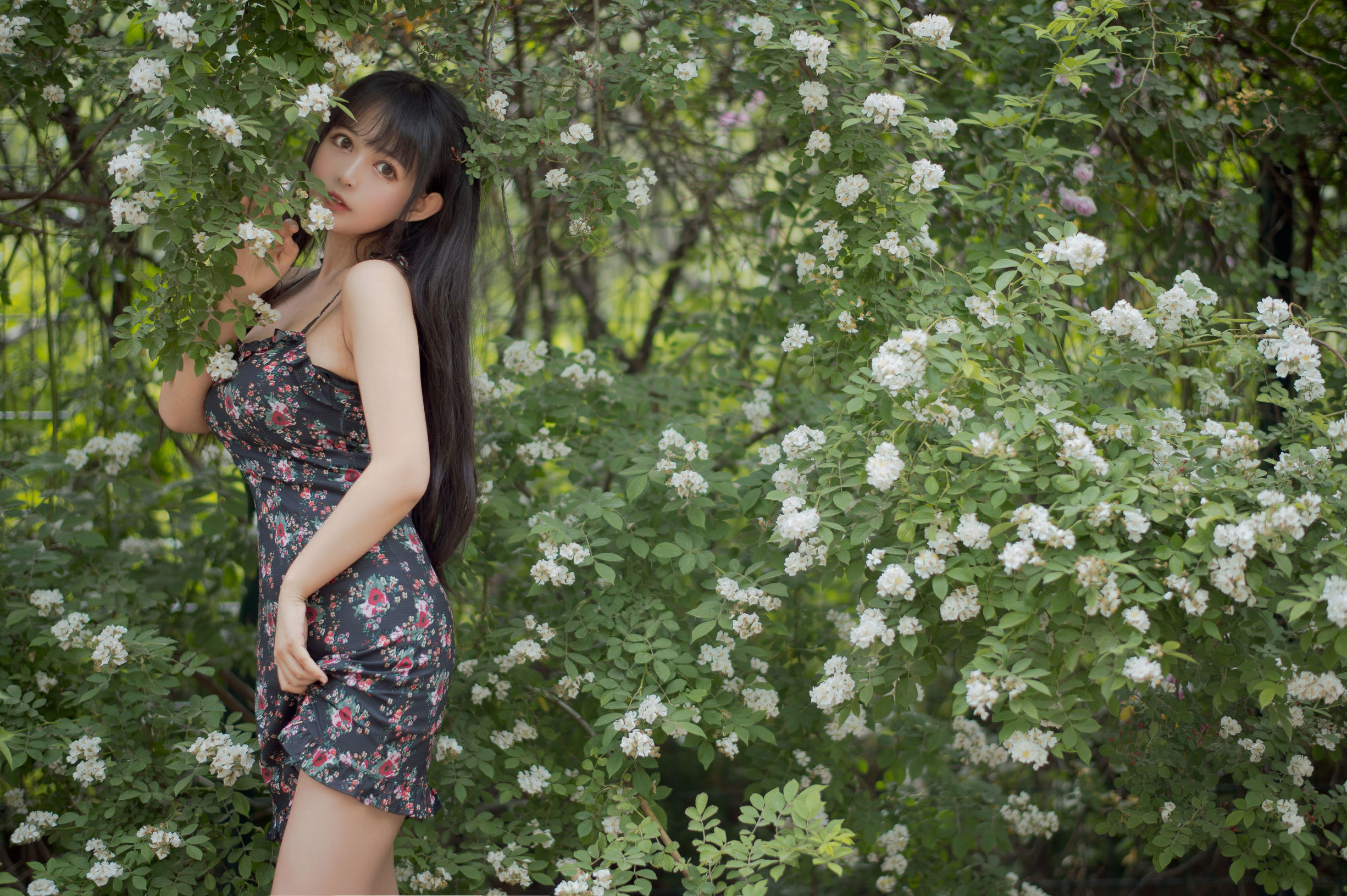 COS福利] 大眼萌妹黑貓貓OvO - 薔薇1