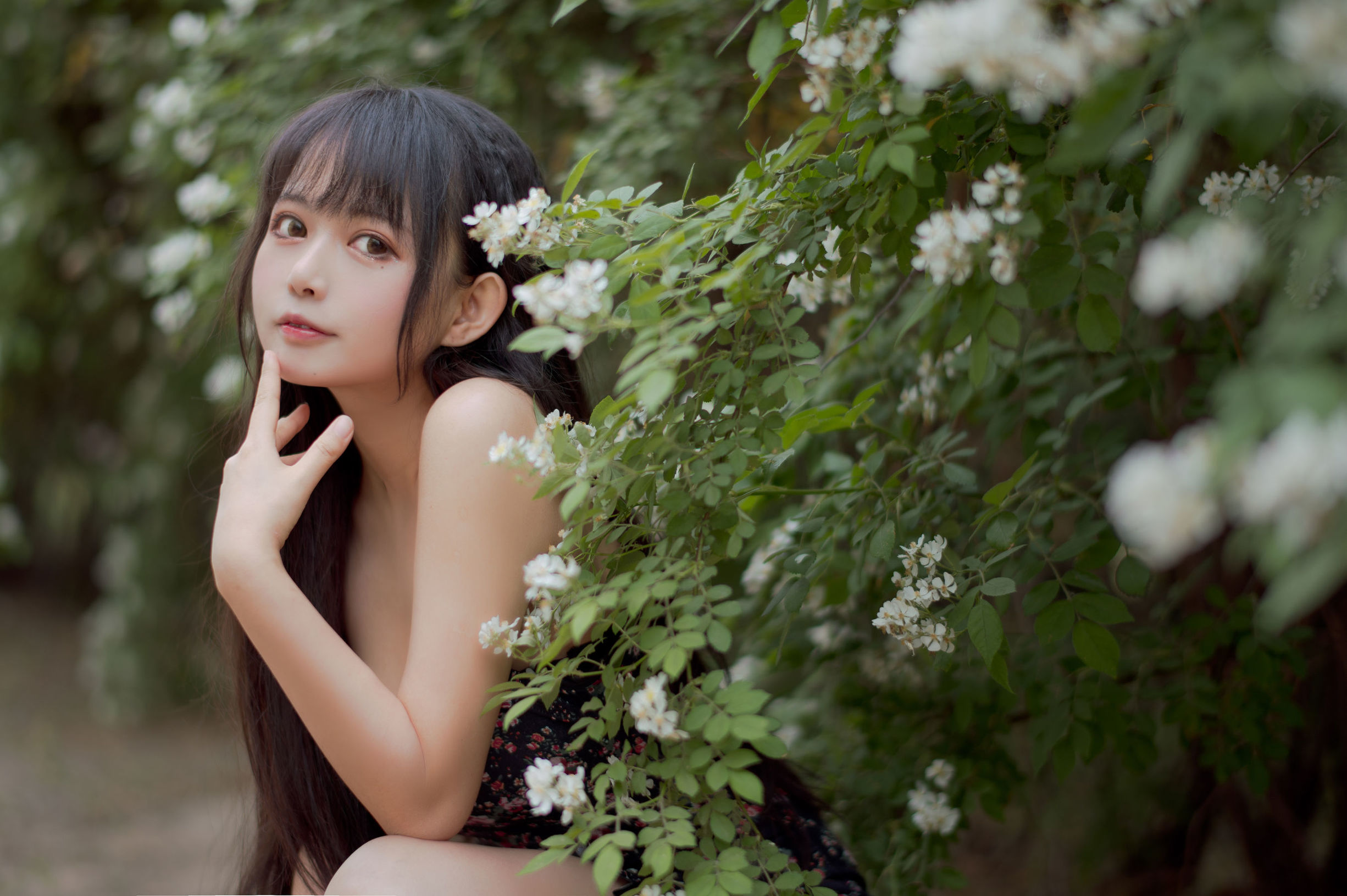 COS福利] 大眼萌妹黑貓貓OvO - 薔薇1