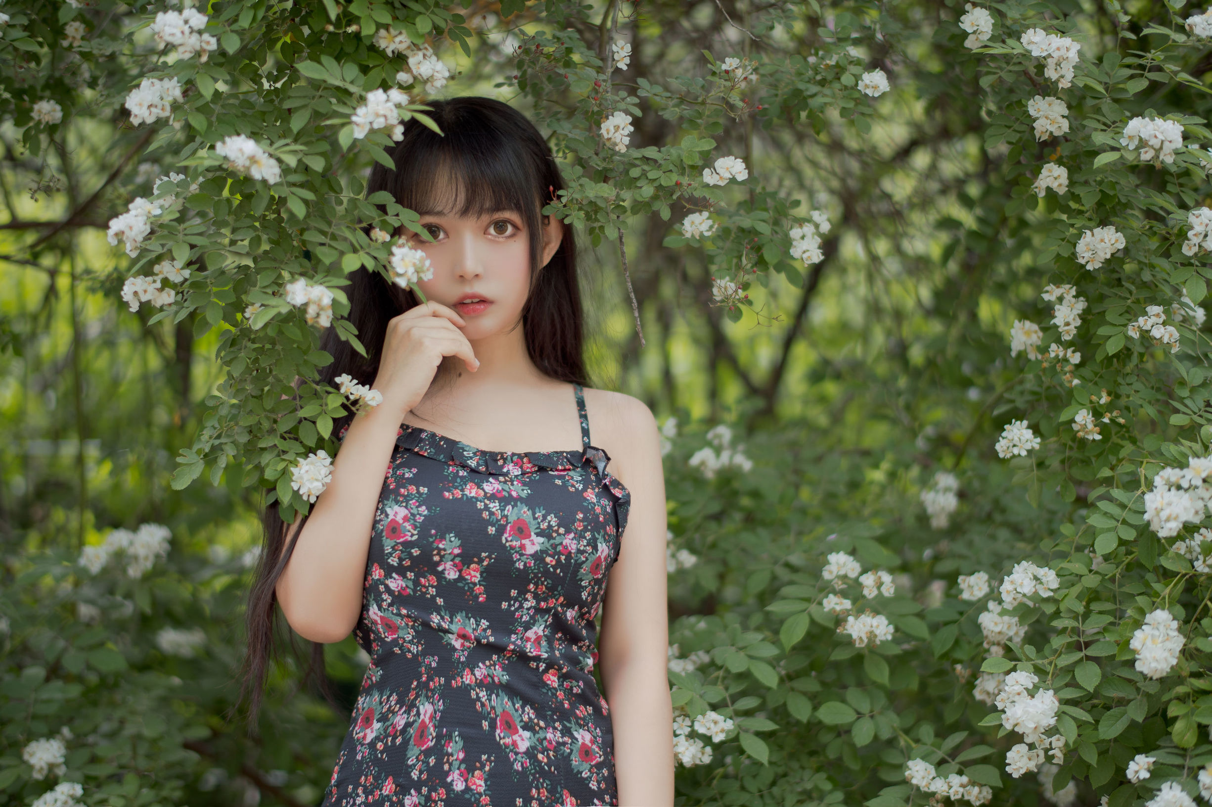 COS福利] 大眼萌妹黑貓貓OvO - 薔薇1
