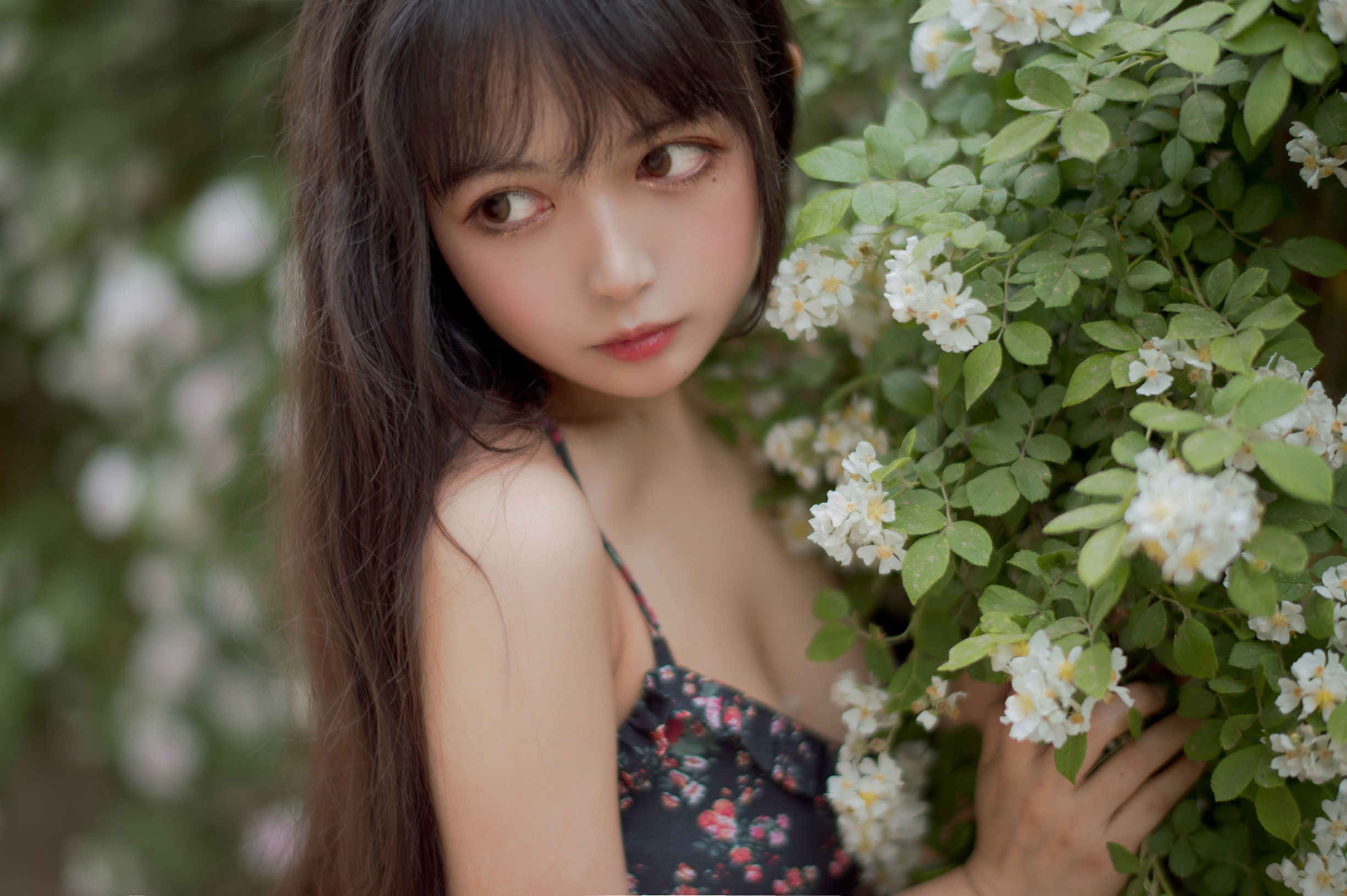 COS Welfare] Big-Eyed Cute Girl Black Cat Cat OvO - Rose 1