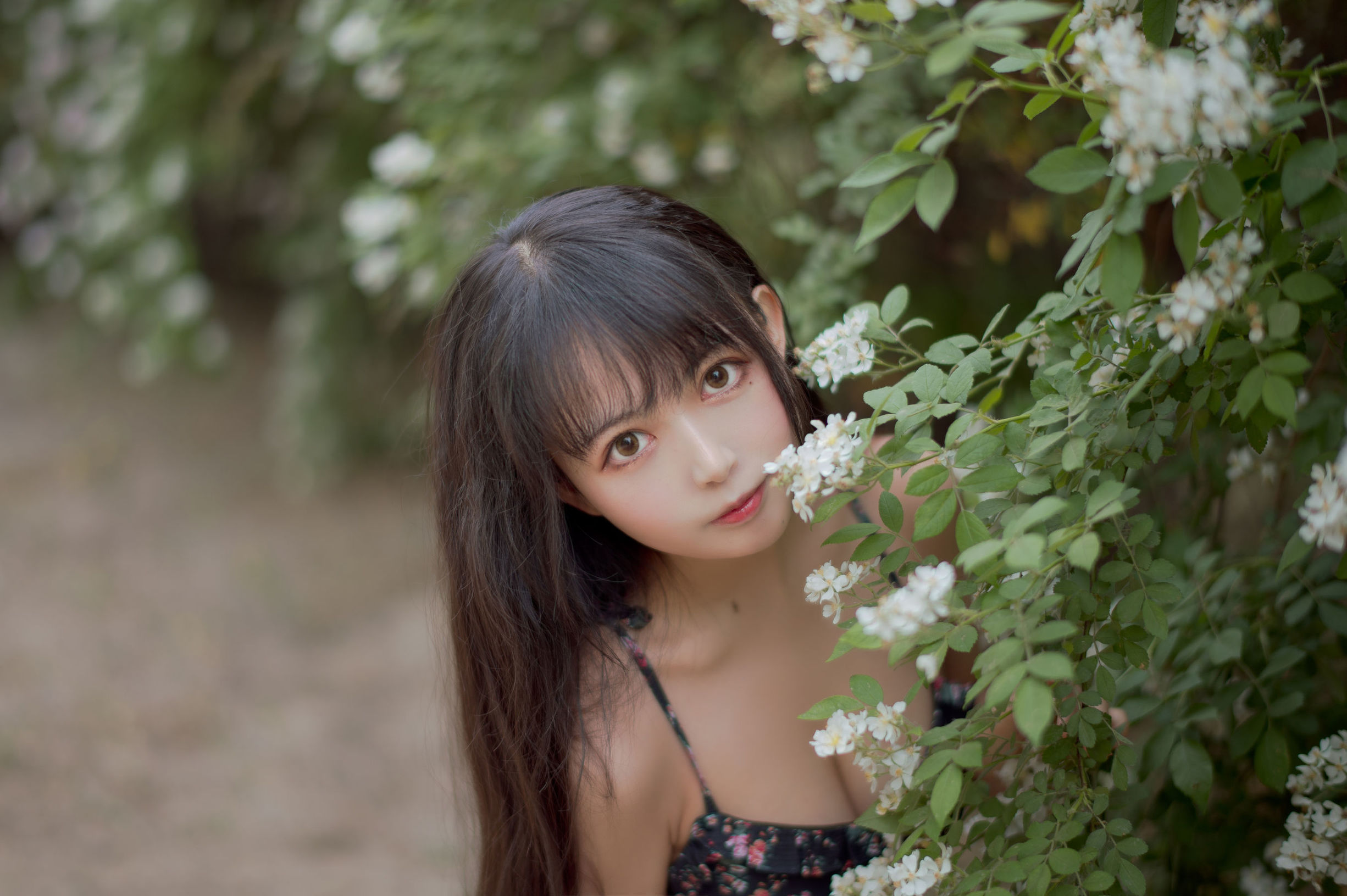 COS福利] 大眼萌妹黑貓貓OvO - 薔薇1