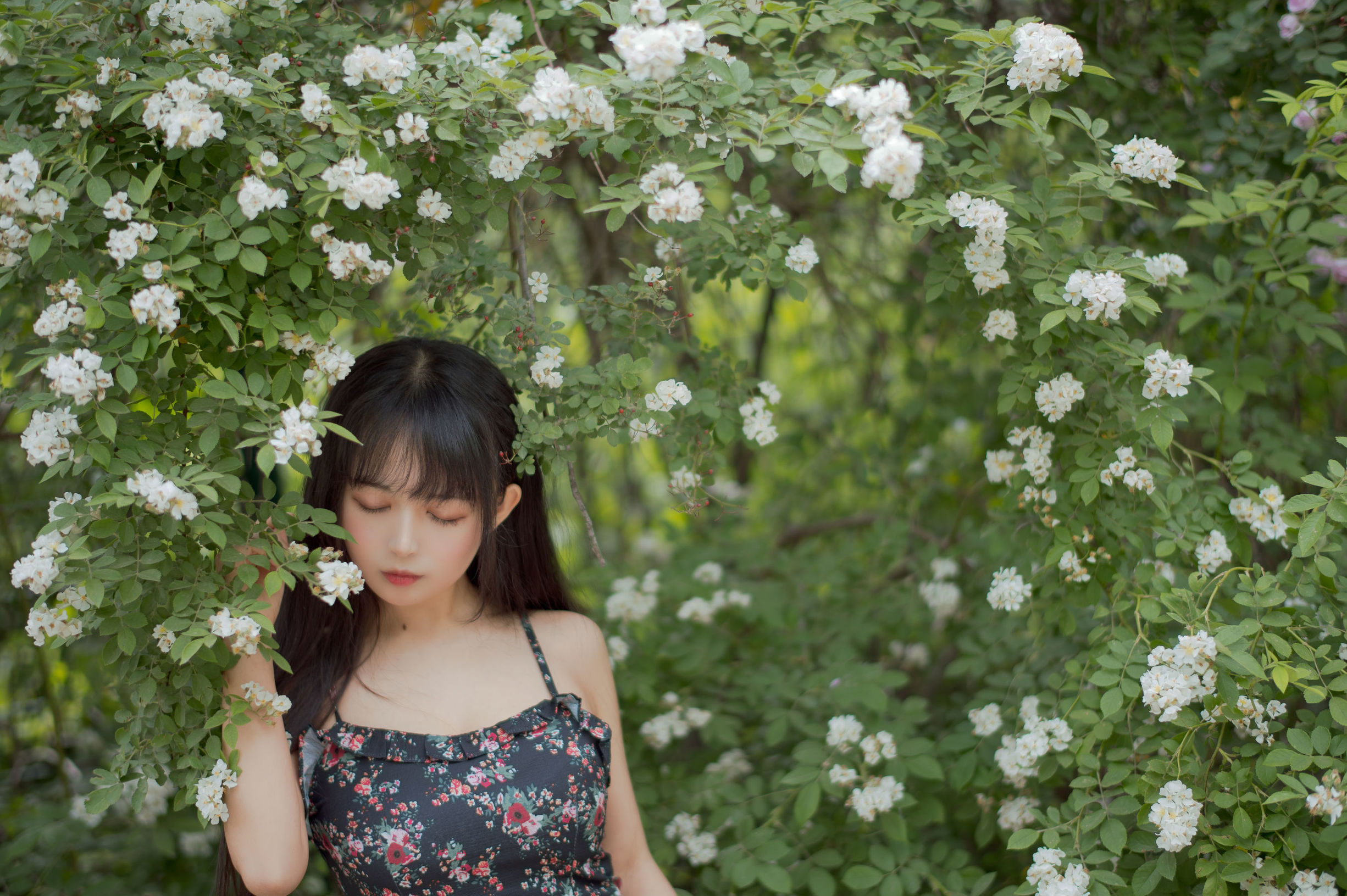 COS福利] 大眼萌妹黑貓貓OvO - 薔薇1