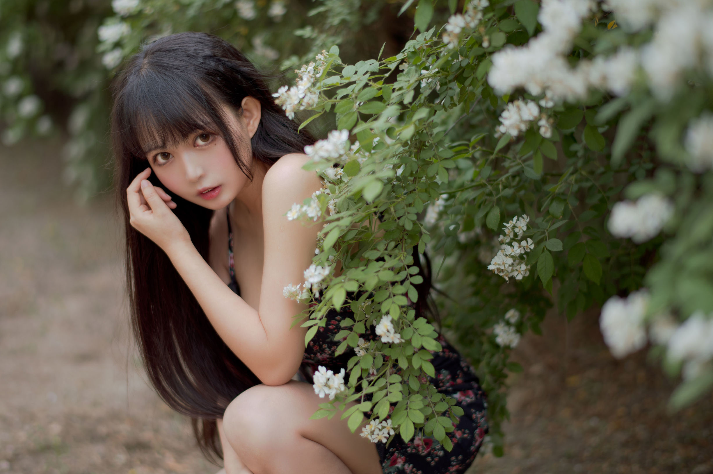 COS福利] 大眼萌妹黑貓貓OvO - 薔薇1