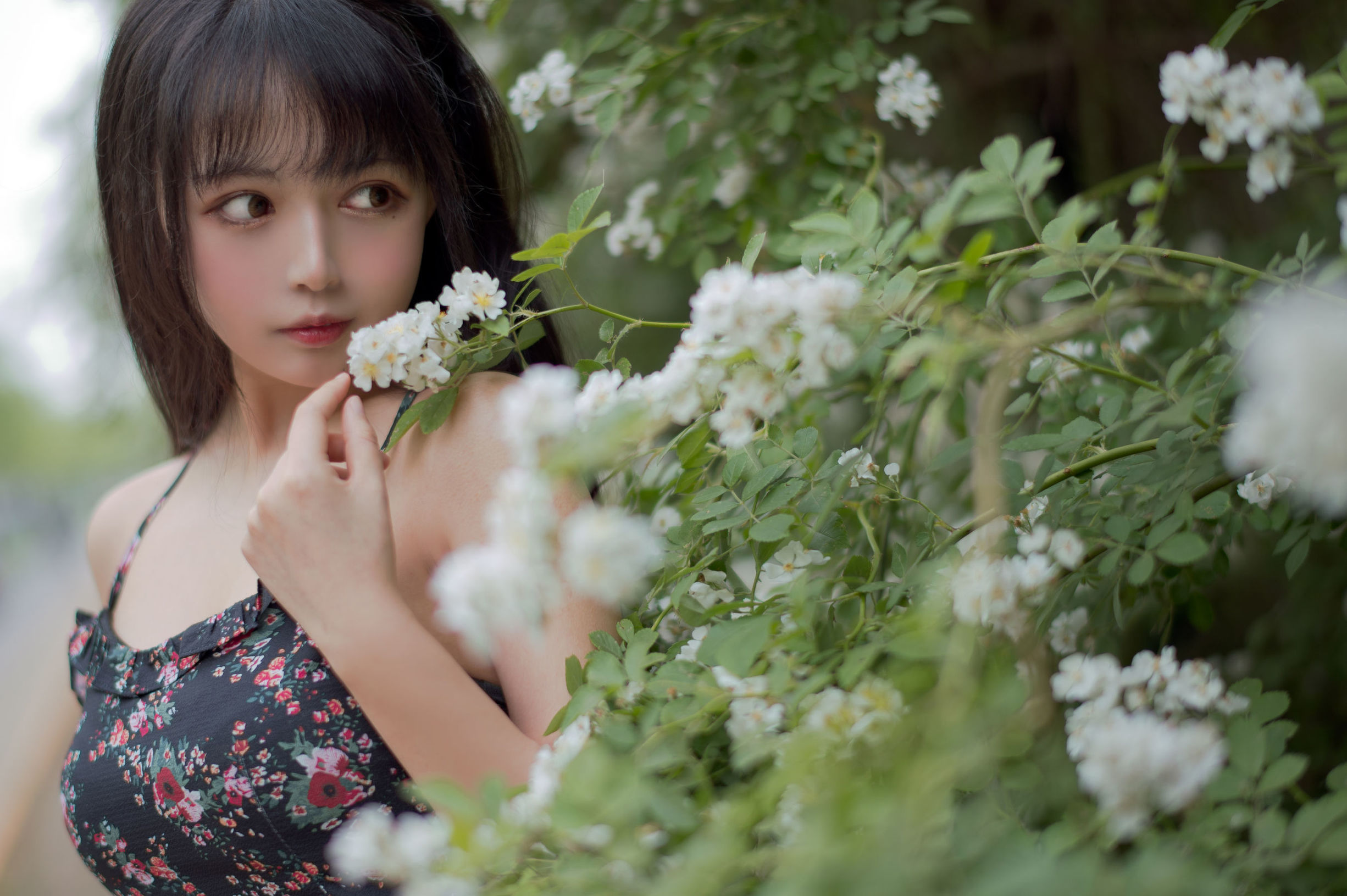 COS福利] 大眼萌妹黑貓貓OvO - 薔薇1