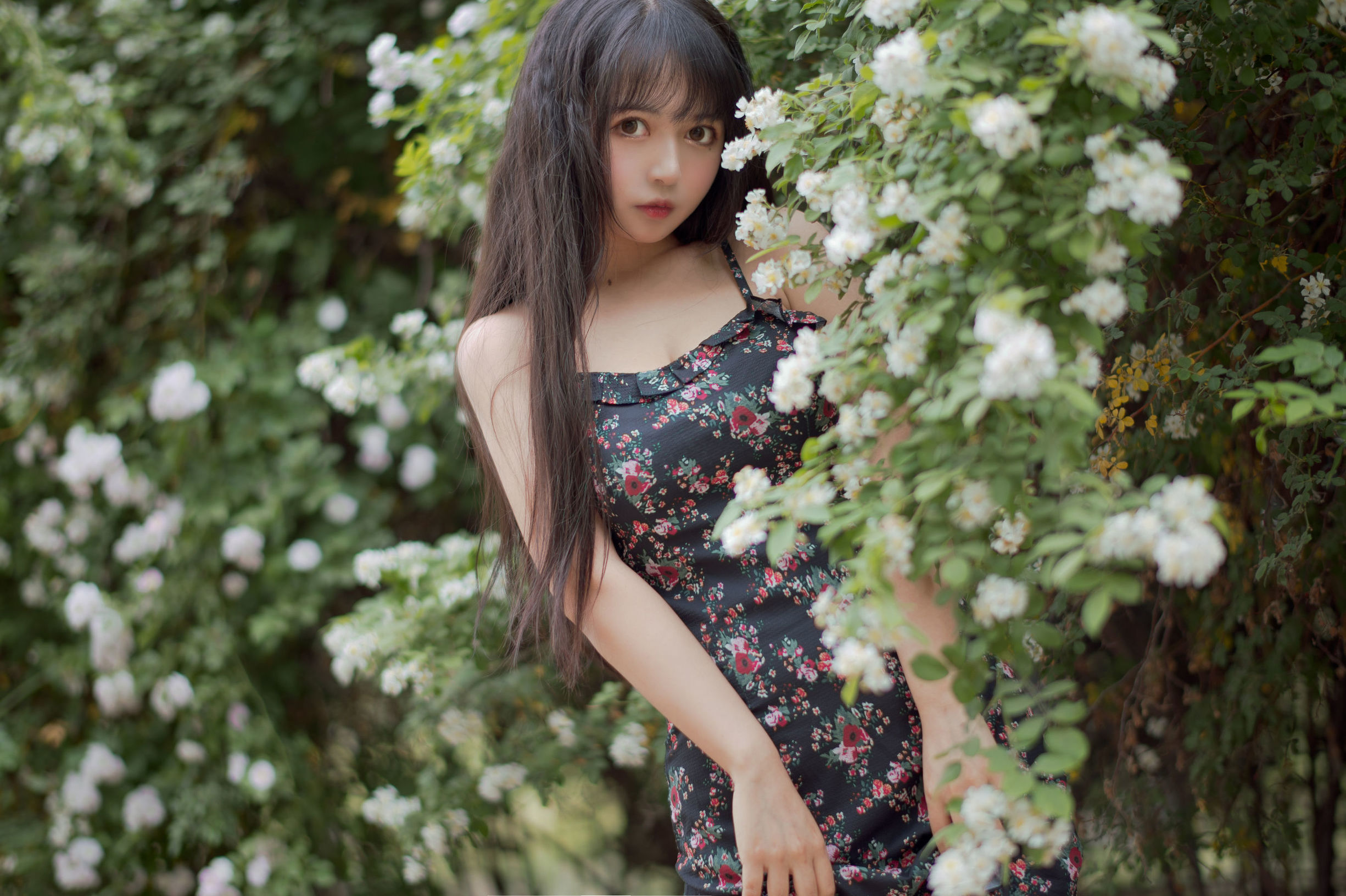 COS福利] 大眼萌妹黑貓貓OvO - 薔薇1
