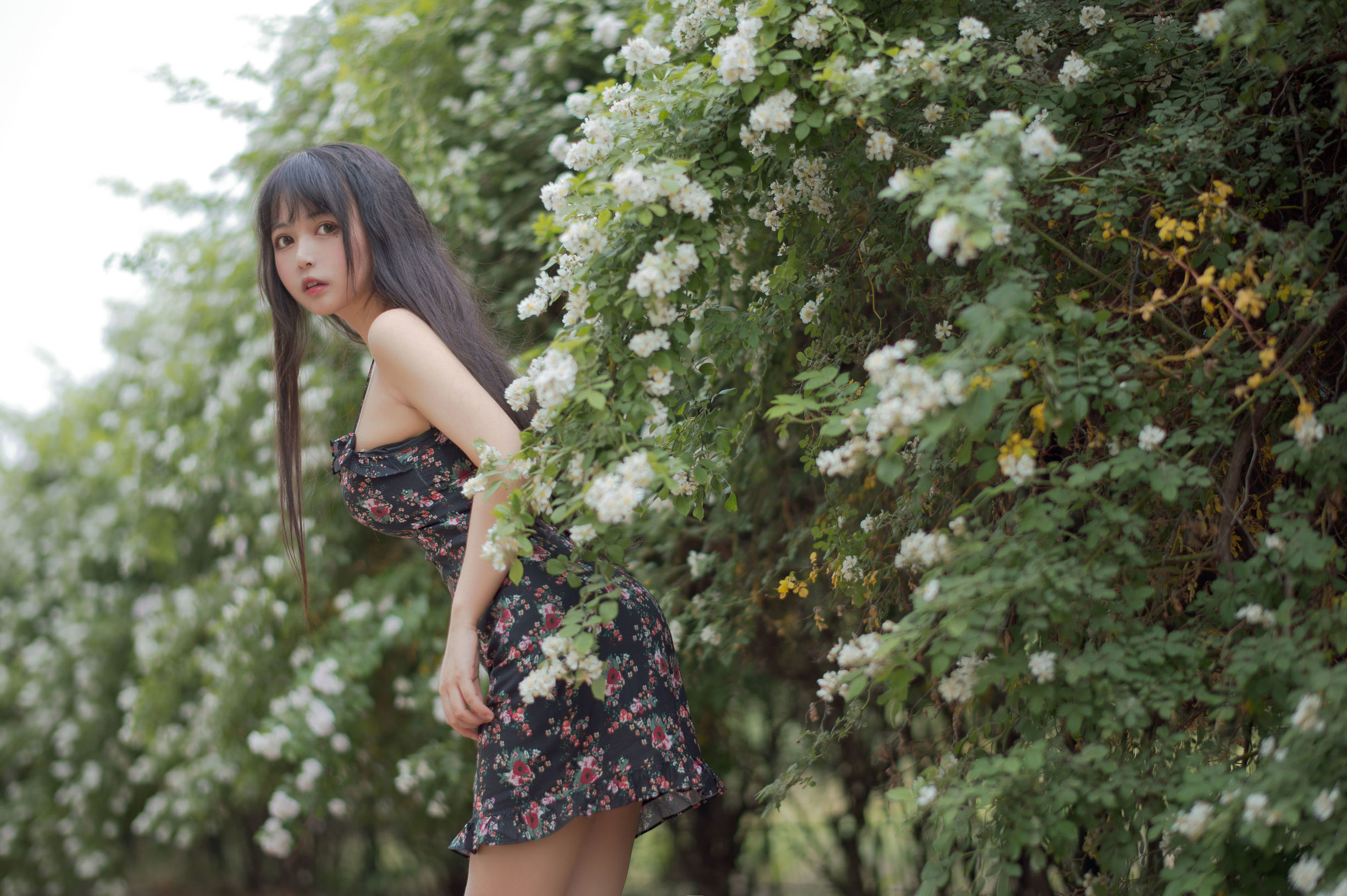 COS福利] 大眼萌妹黑貓貓OvO - 薔薇1