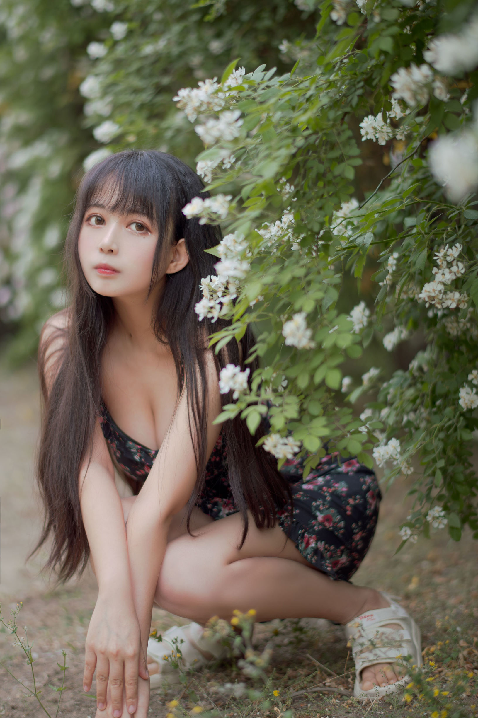 COS福利] 大眼萌妹黑貓貓OvO - 薔薇1