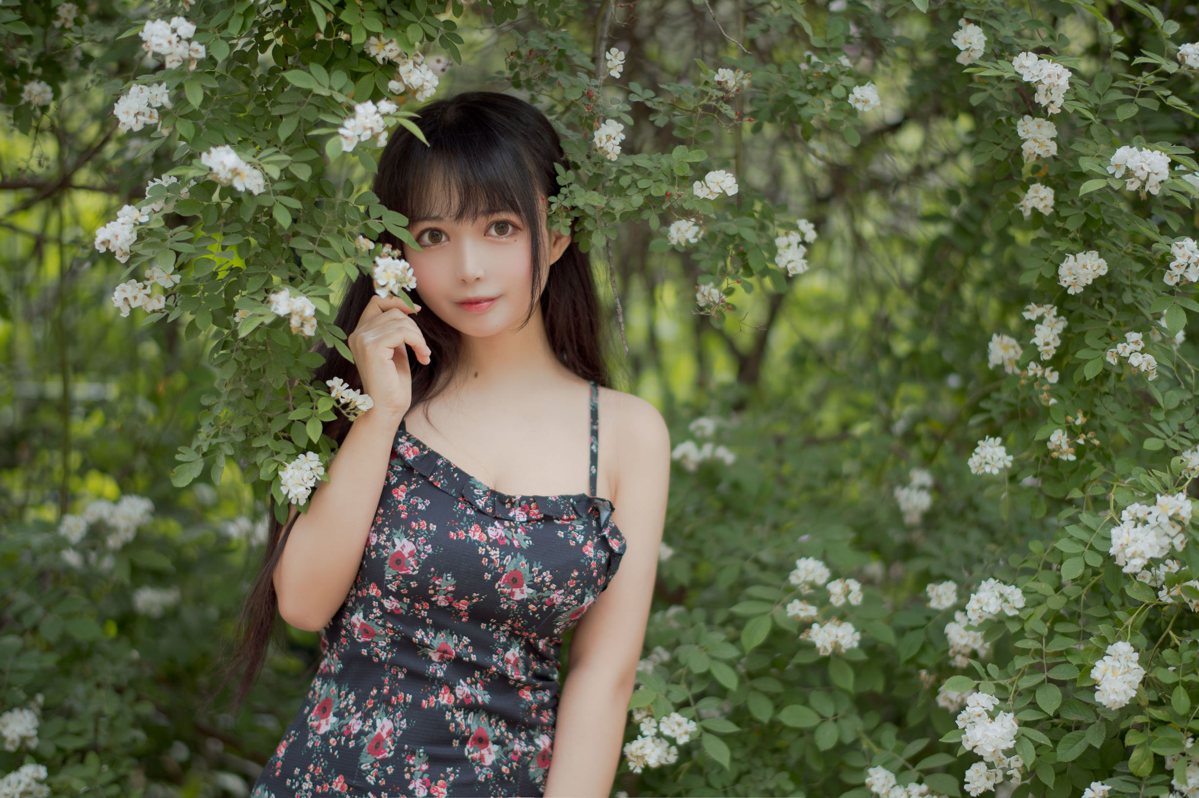 COS福利] 大眼萌妹黑貓貓OvO - 薔薇1