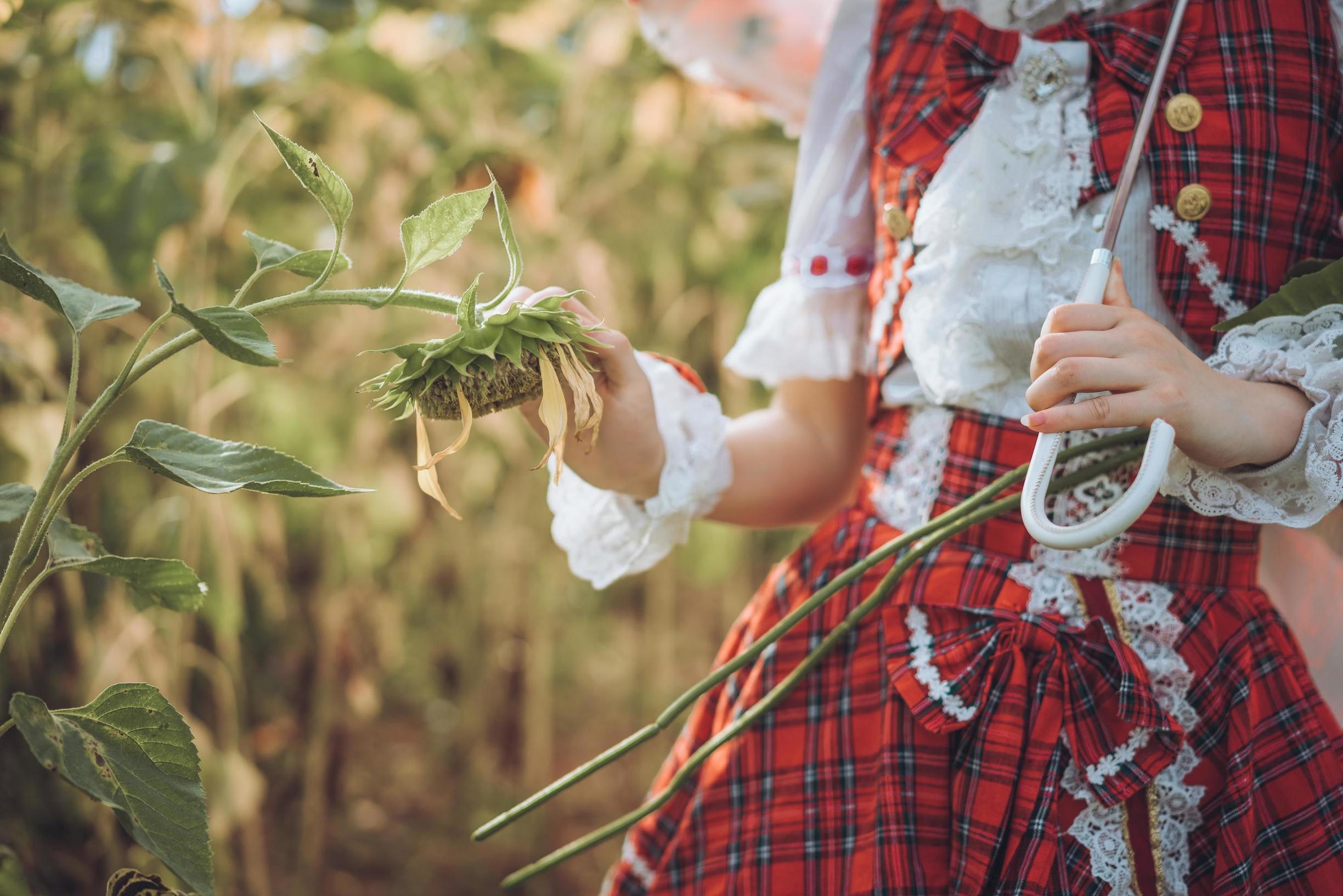 COS Welfare] Big Sister Mi Yin Yin ww - Four Seasons' Flower Master