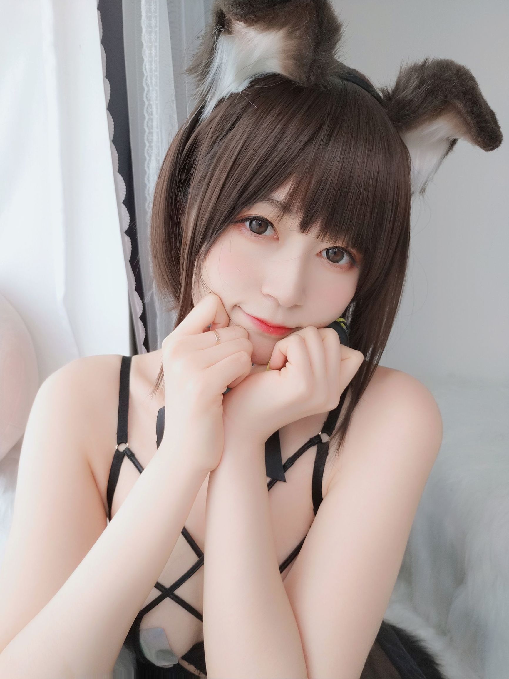 COSฟูเล่] Coserเซี่ยวเจี่ยจวิ้น - สุนัขหูพับ