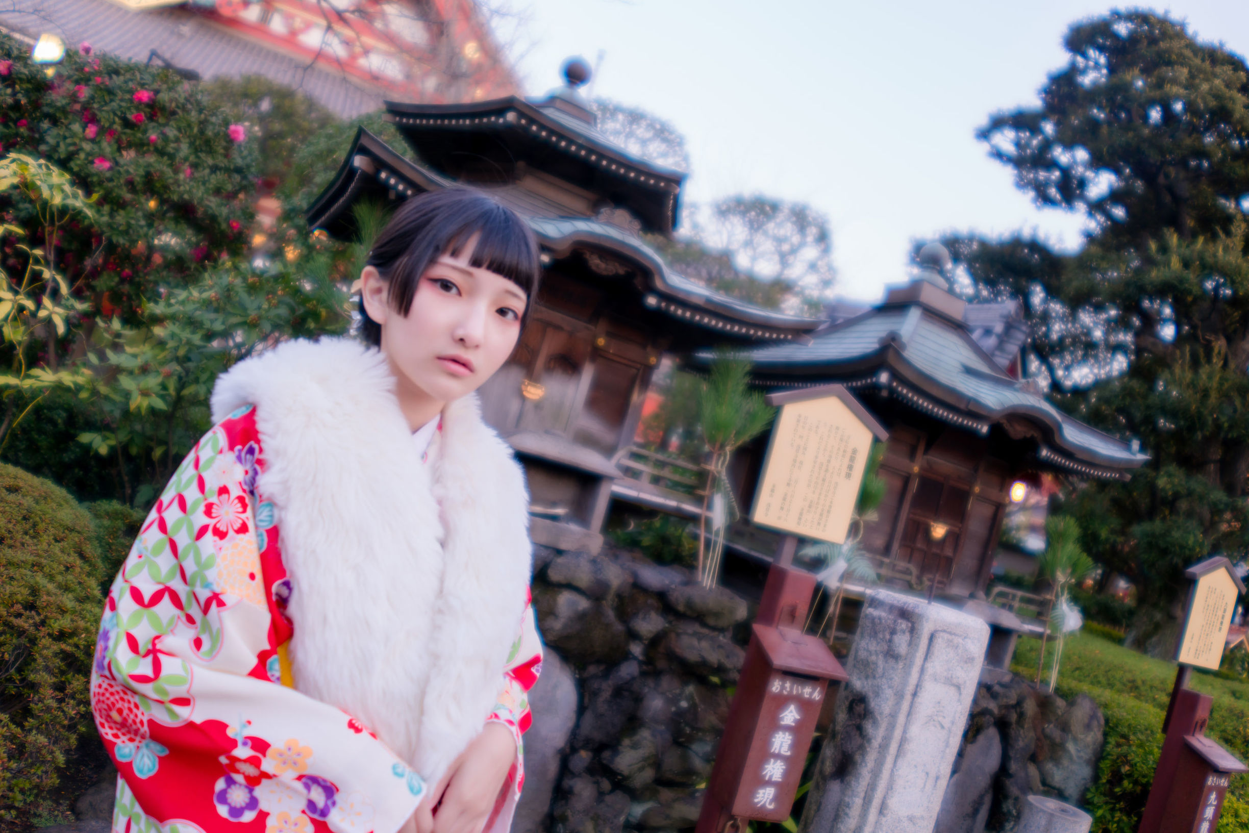 Xiaoding 和服 猫女女仆 Photo Set