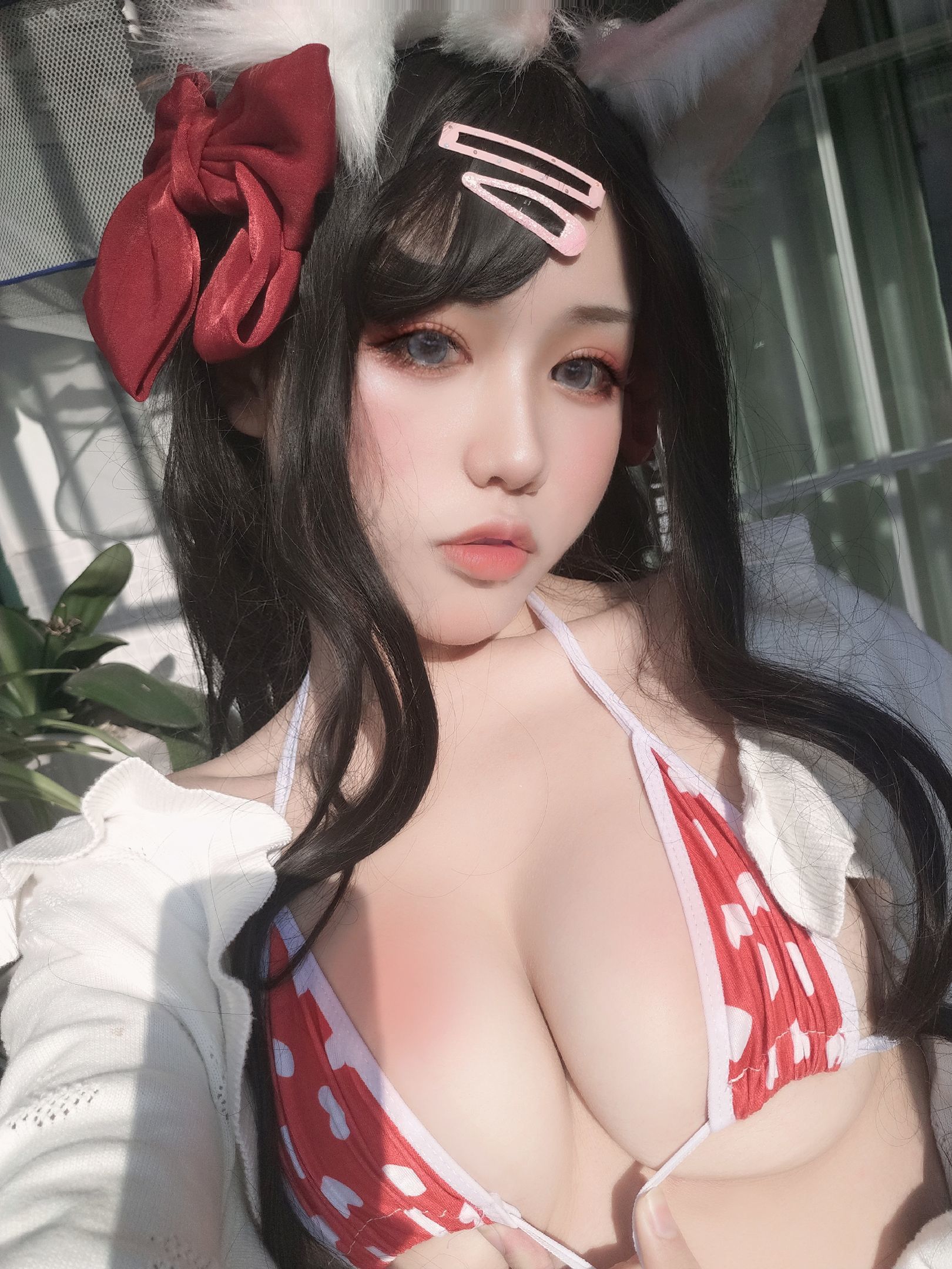 Một nụ cười hương thơm thấm vào ảnh, cửa sổ và mèo cưng