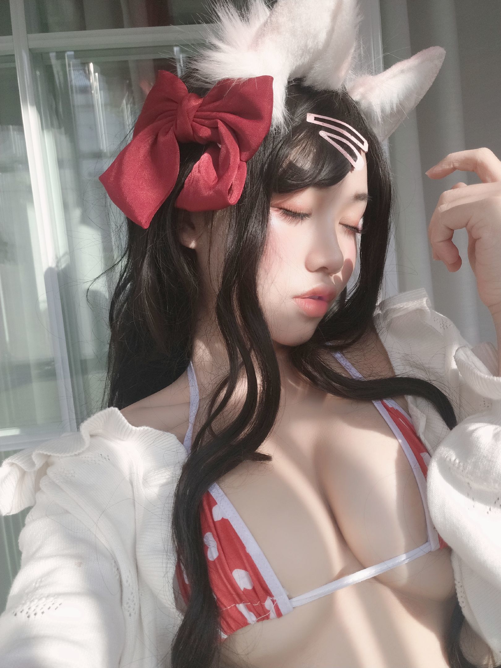 Một nụ cười hương thơm thấm vào ảnh, cửa sổ và mèo cưng