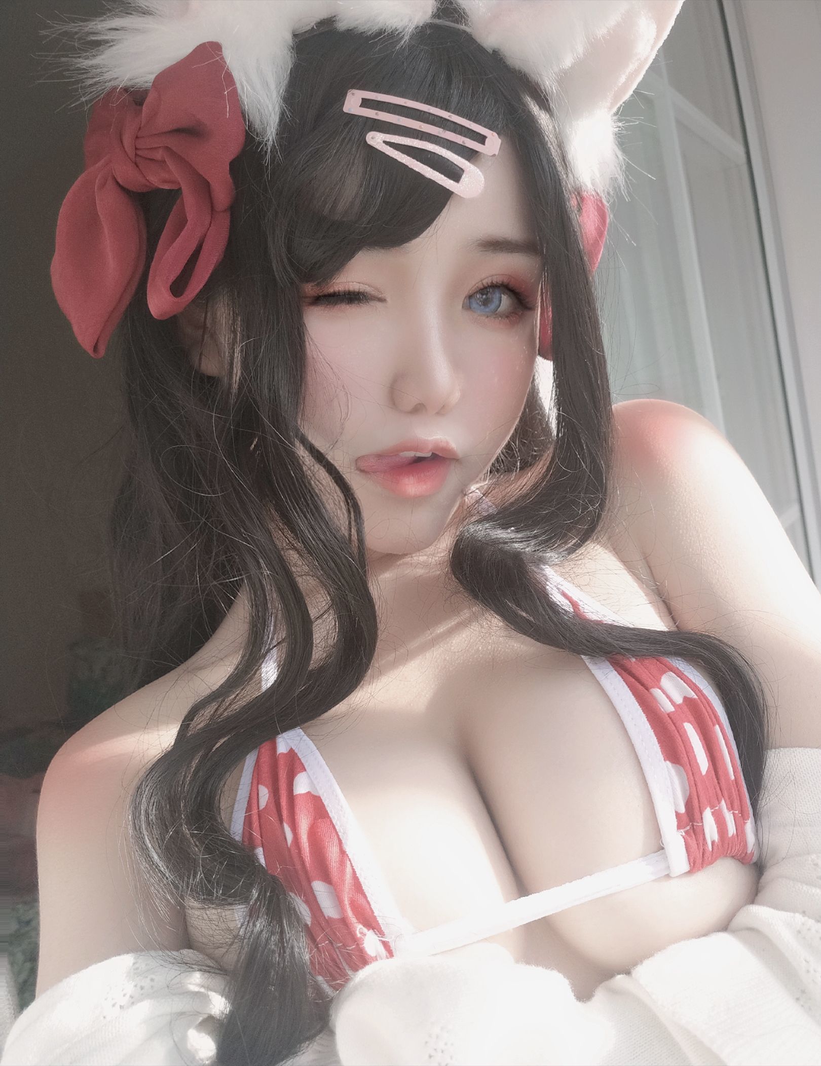 一笑芳香沁寫真 窗與寵物貓